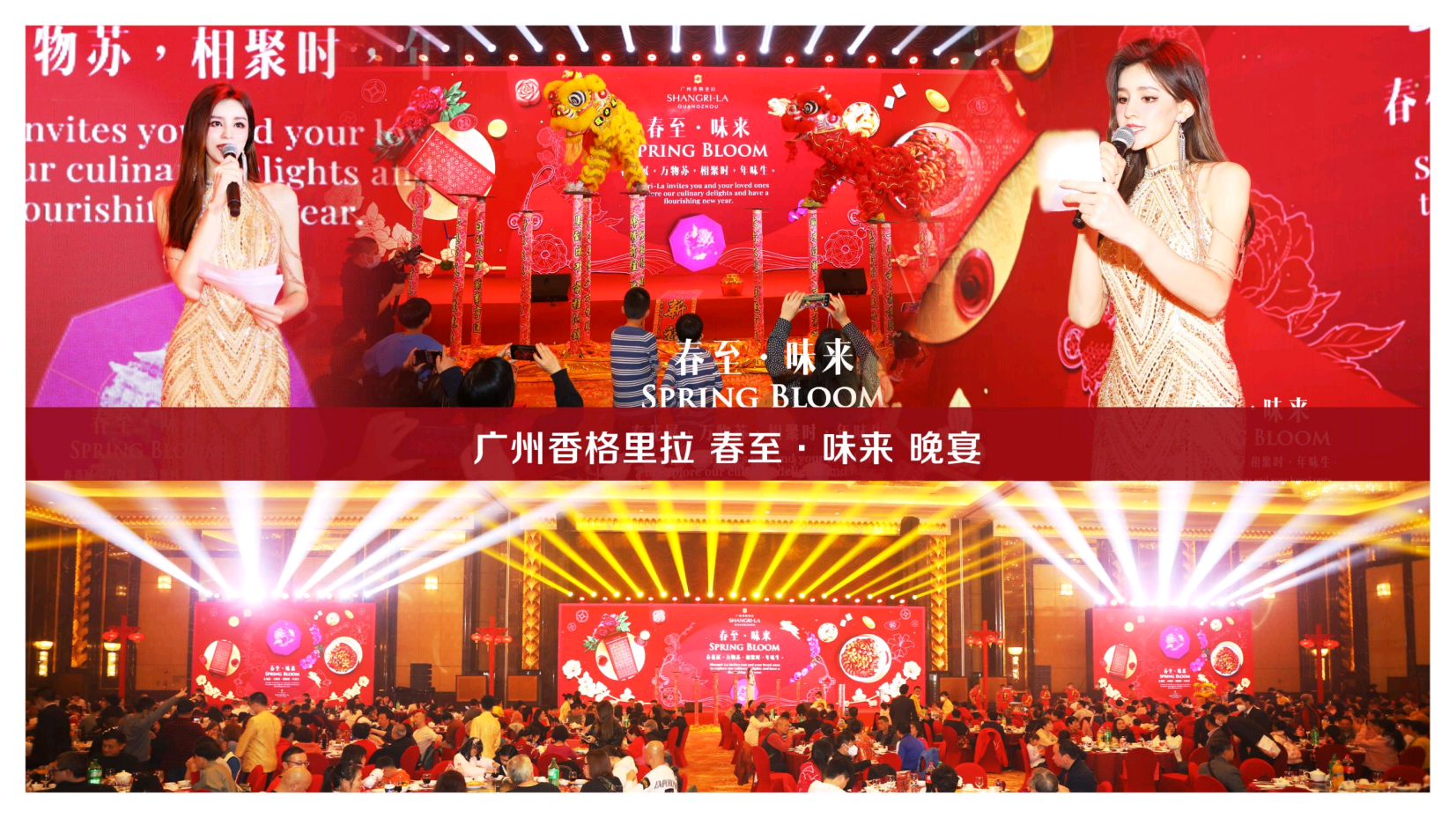 广东卫视中英哈三语主持人丽达（广州深圳）