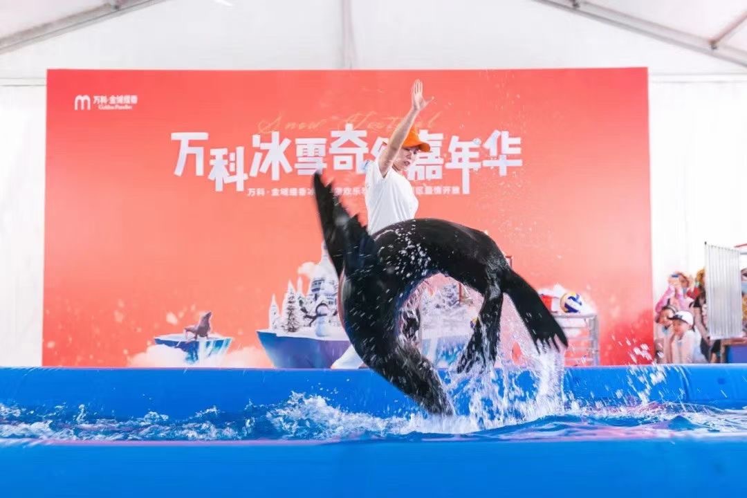 海狮表演