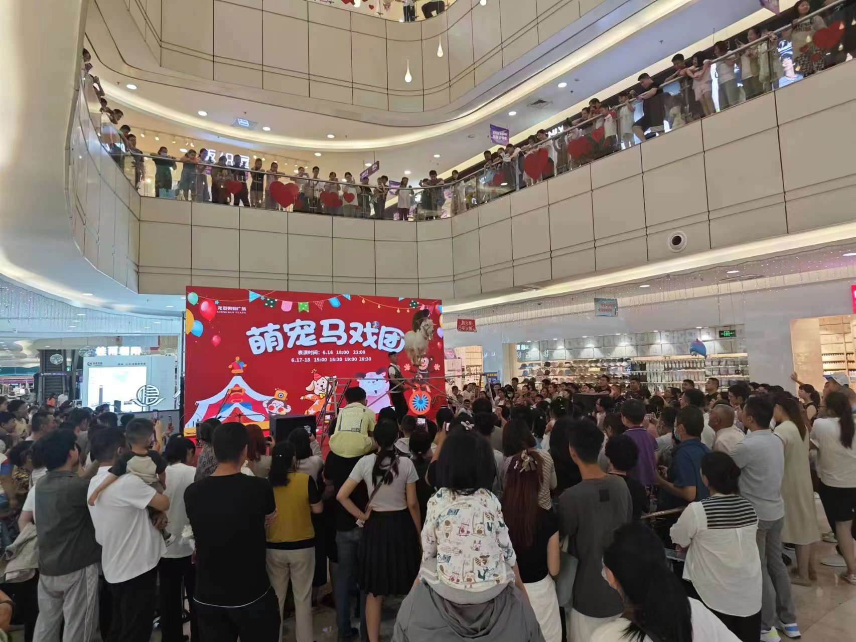 小马戏表演租赁商场暖场活动一手资源