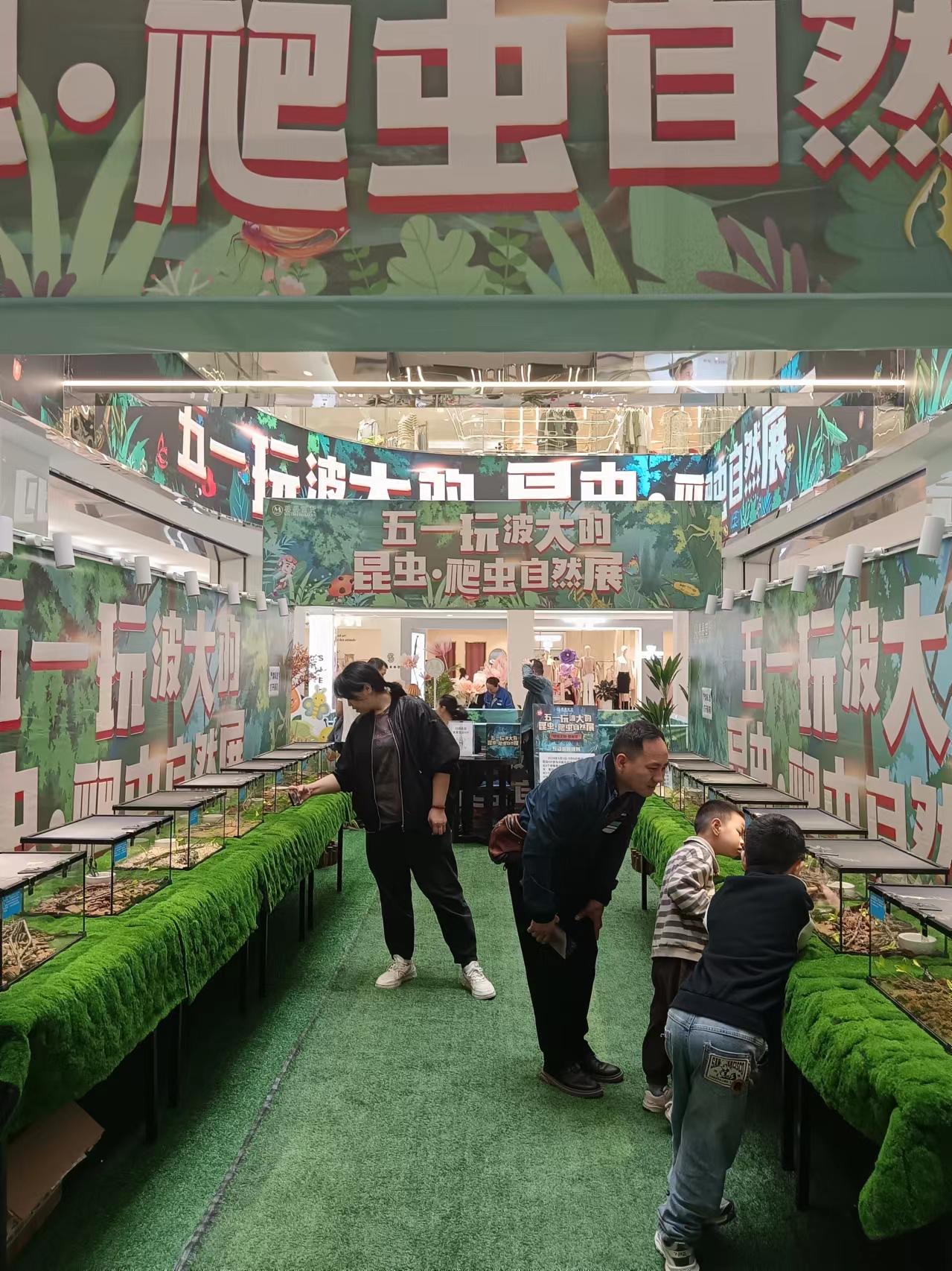 爬虫昆虫展览活体昆虫爬虫科普自然知识出租