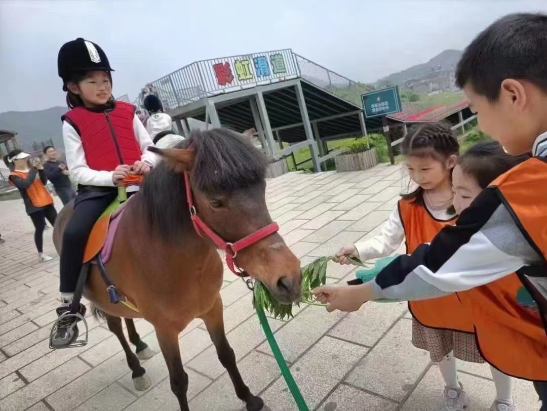 萌宠动物出租展览哪里有地产商场暖场引流好