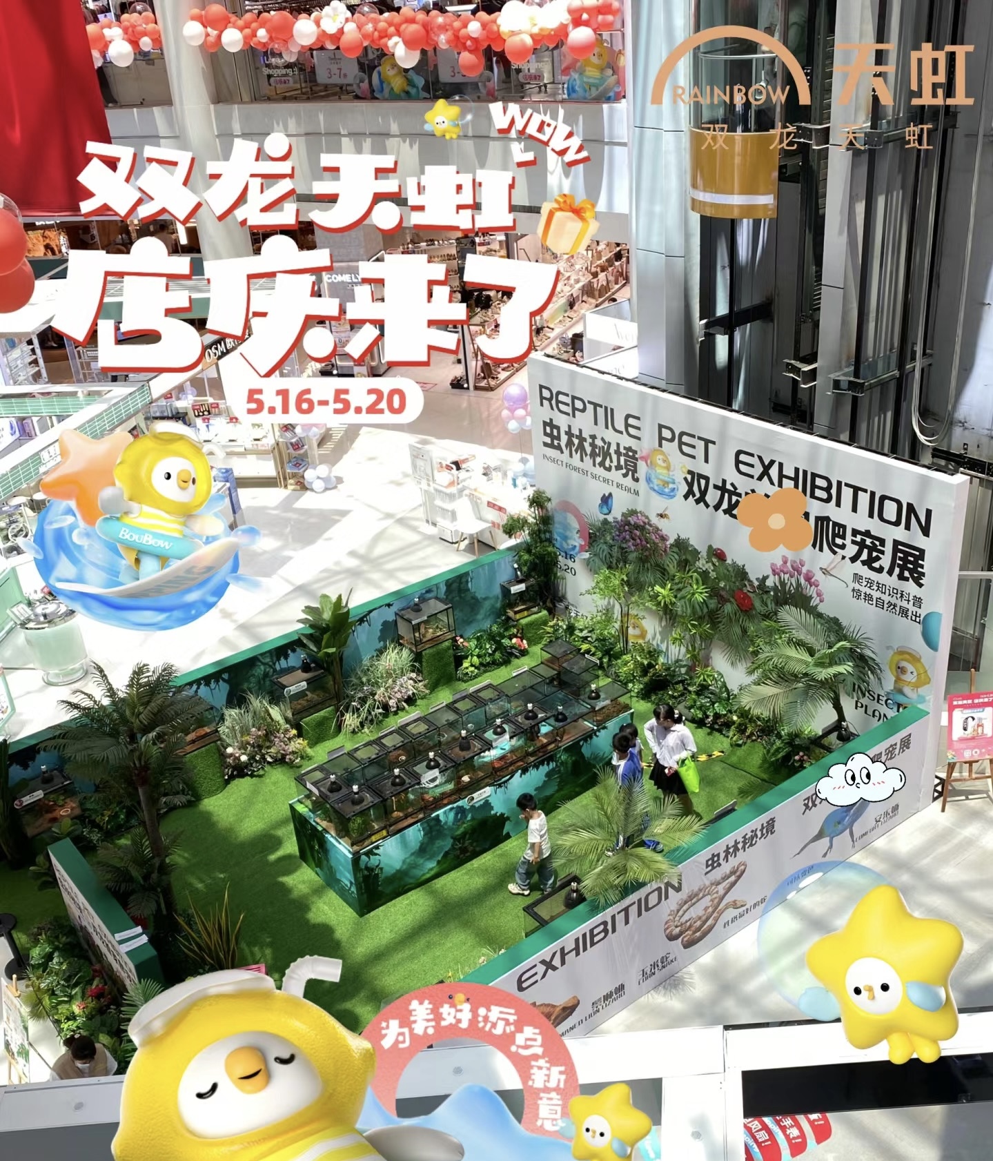 爬虫昆虫造景标本出租展览活体科普动物知识