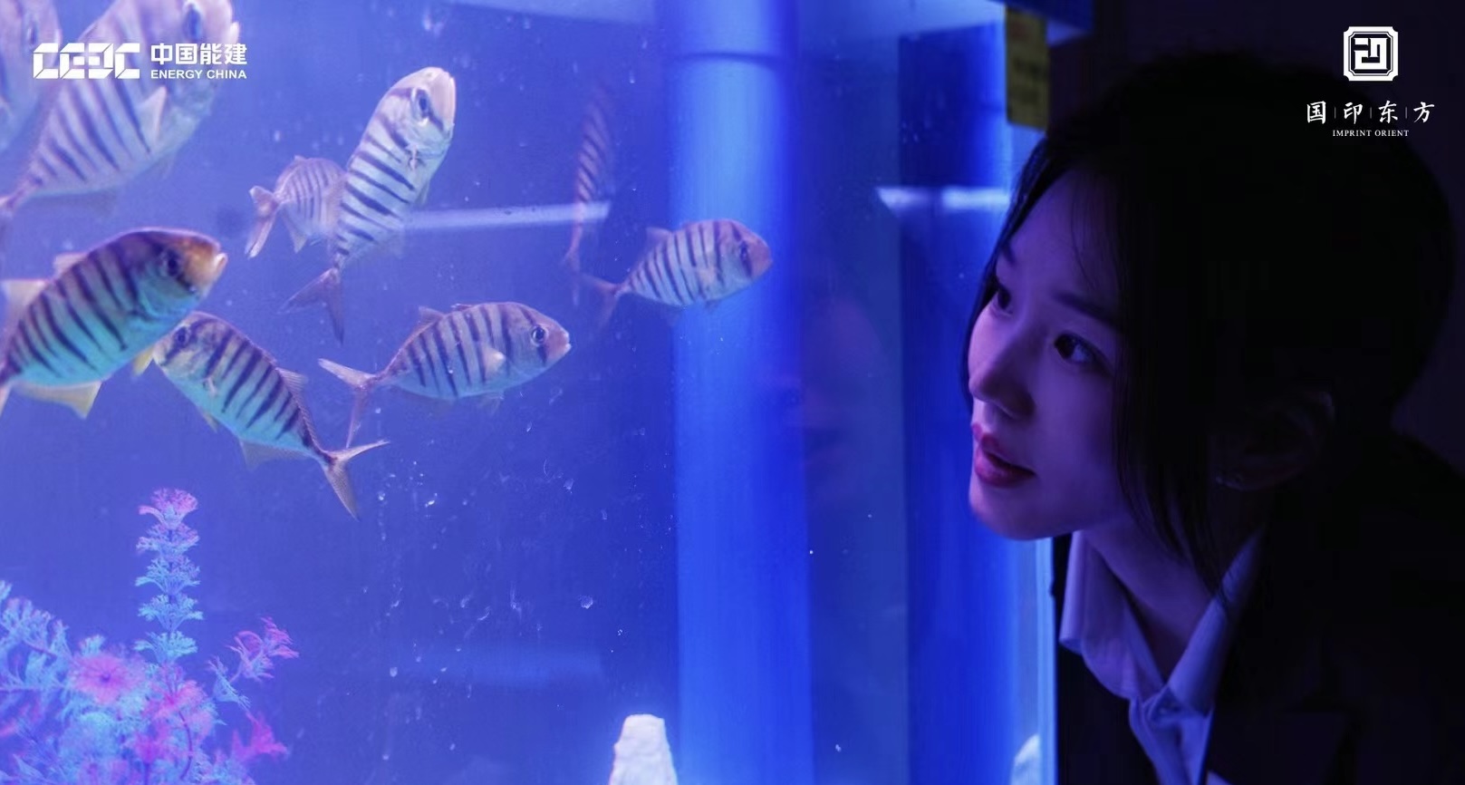 美人鱼表演出租夏季引流好资源好项目出租