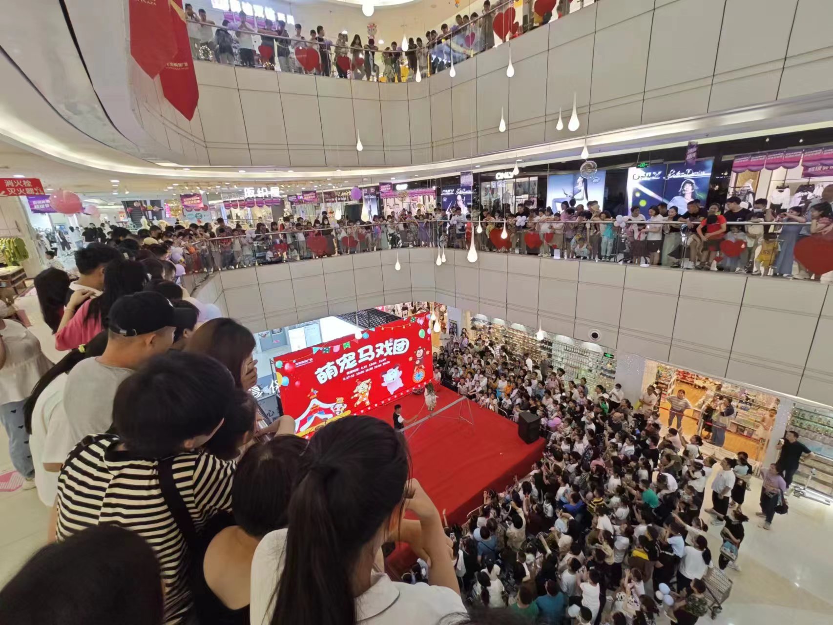 小马戏表演租赁商场暖场活动一手资源