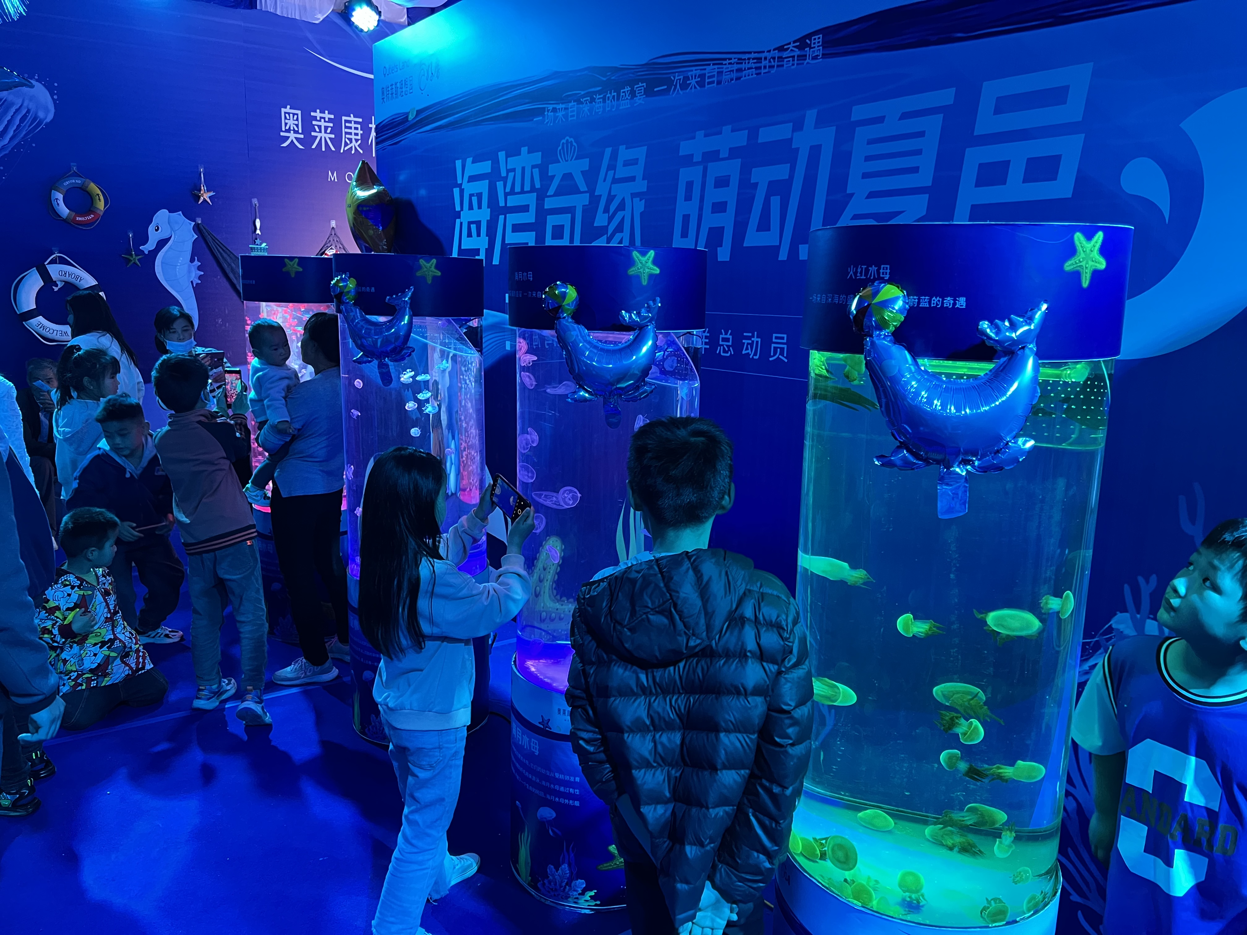 珍稀海洋生物展 海洋展 鲨鱼展