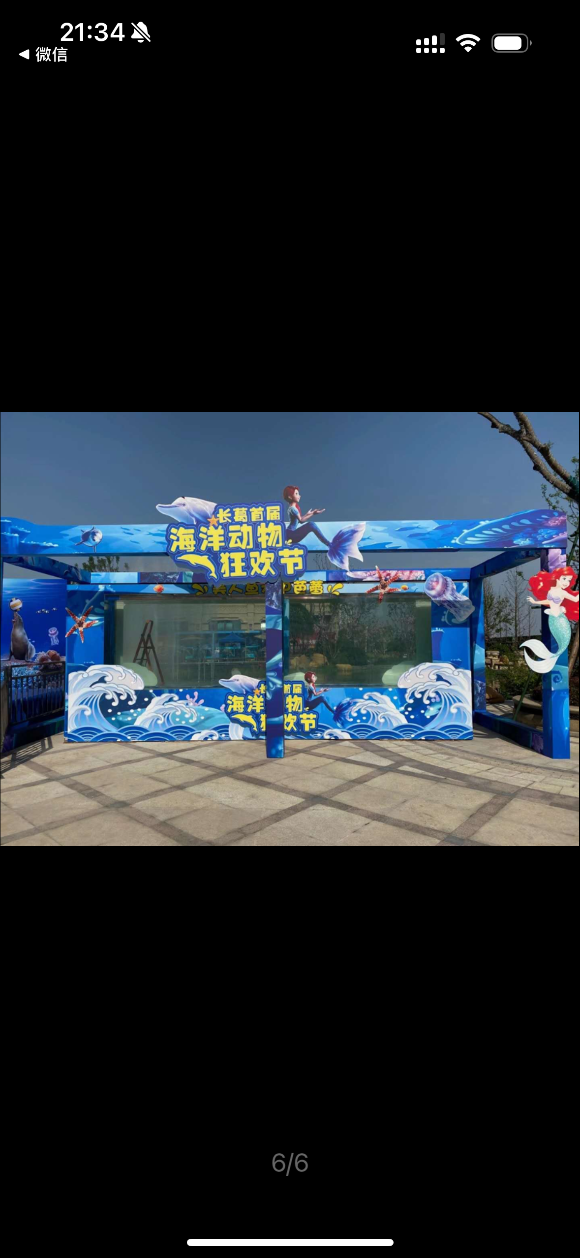 五一海狮表演出租暖场引流好资源推荐一手资