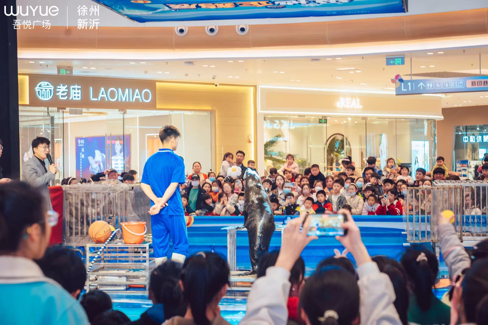 活体南美海狮表演出租暑期暖场引流互动展览