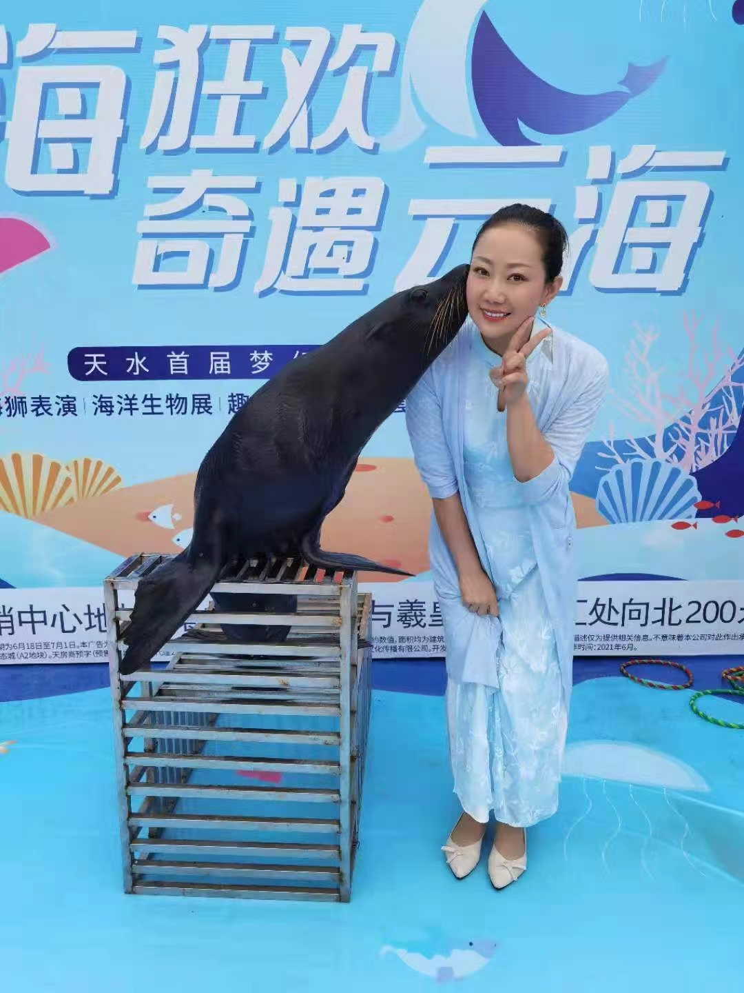 活体南美海狮表演出租暑期暖场引流互动展览