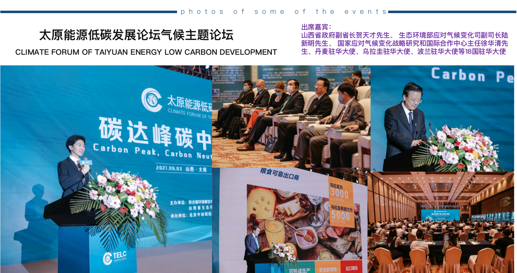 中英文双语主持人紫轩（常驻地北京）