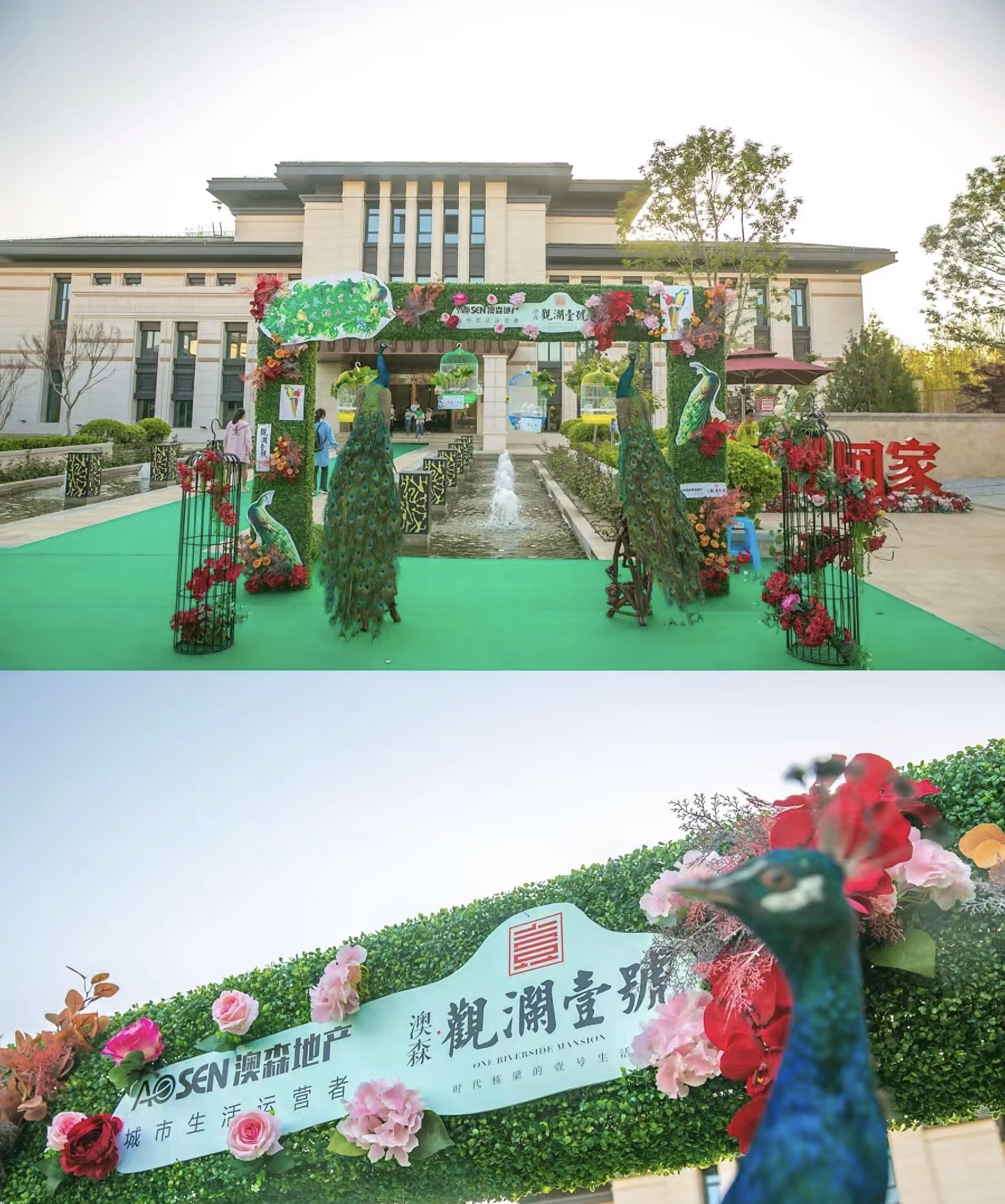 百鸟展出租引流地产商场托客动物出租互动