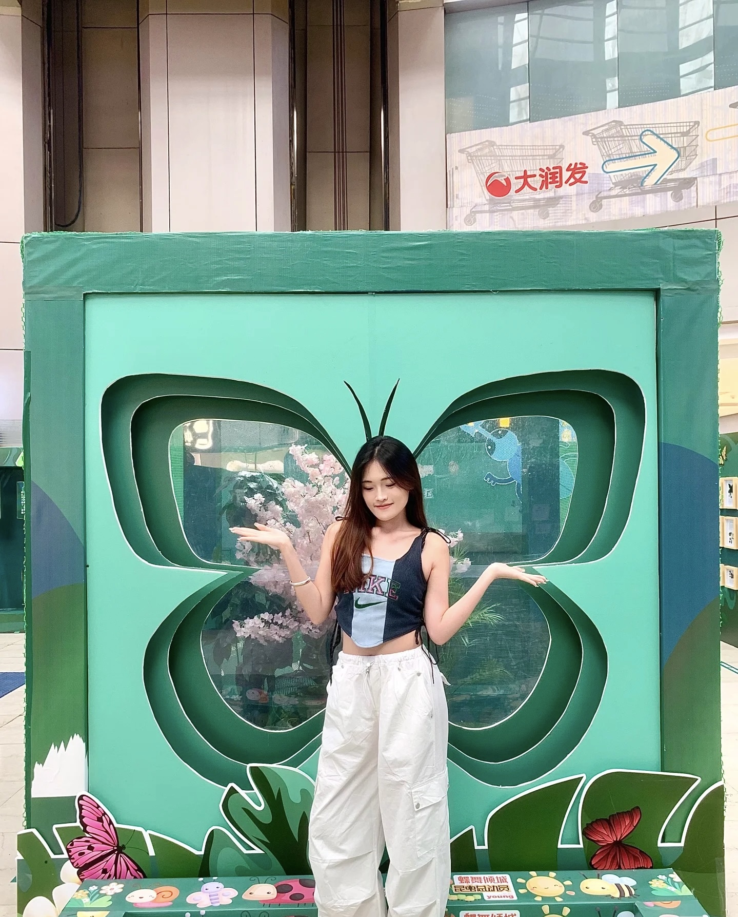 活体蝴蝶出租蝴蝶标本出租引流策划好资源
