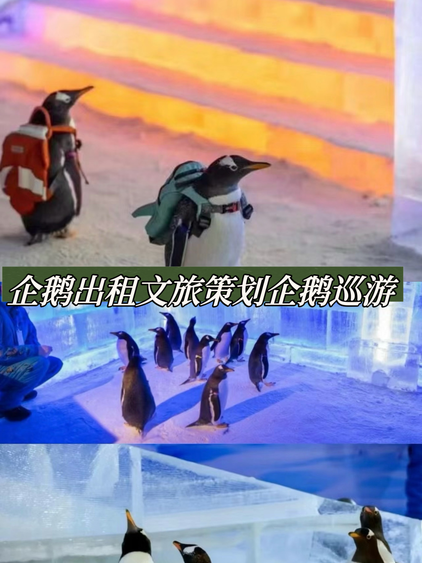企鹅出租冬季雪乡流元旦春节节假日引流神器