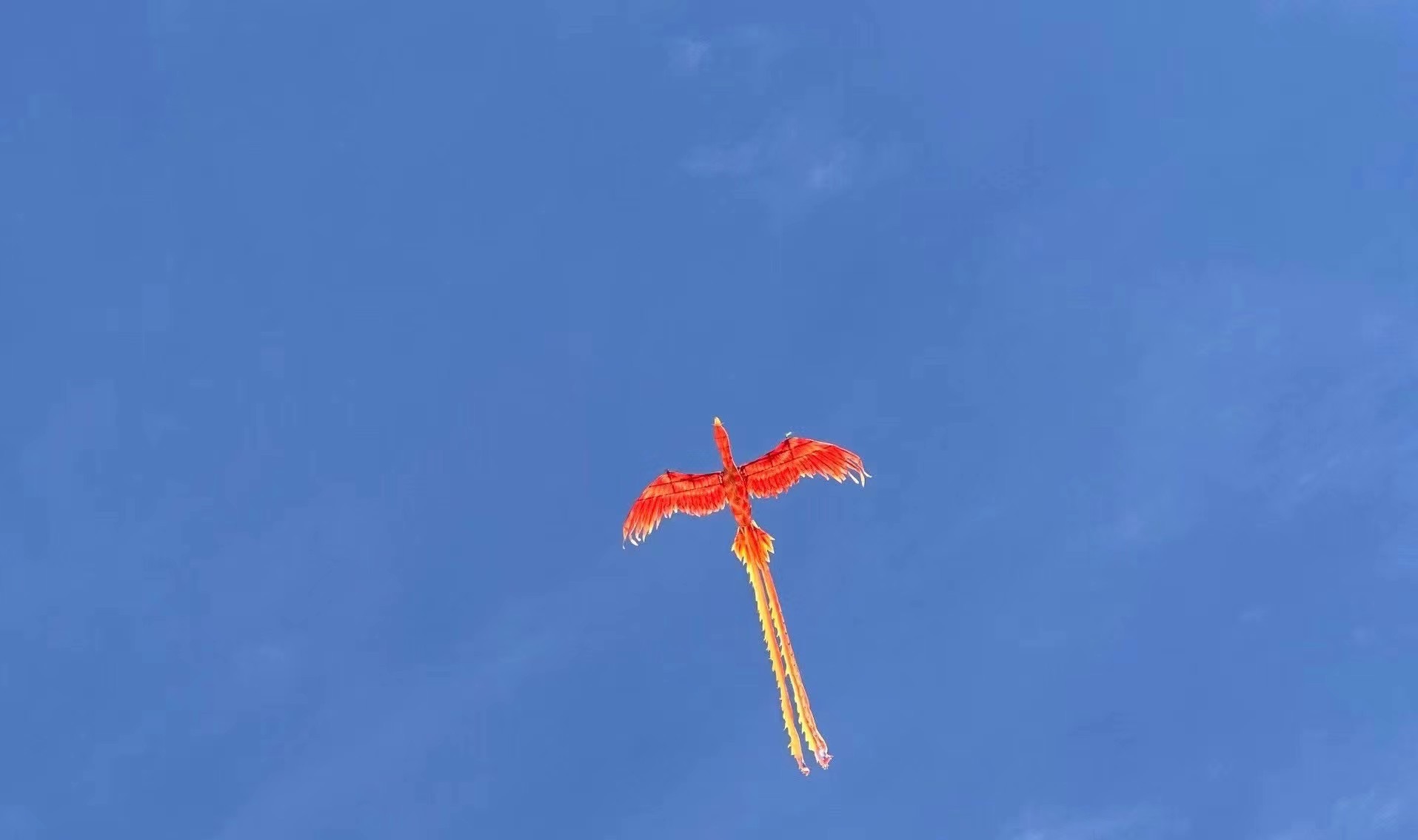 飞天凤凰表演