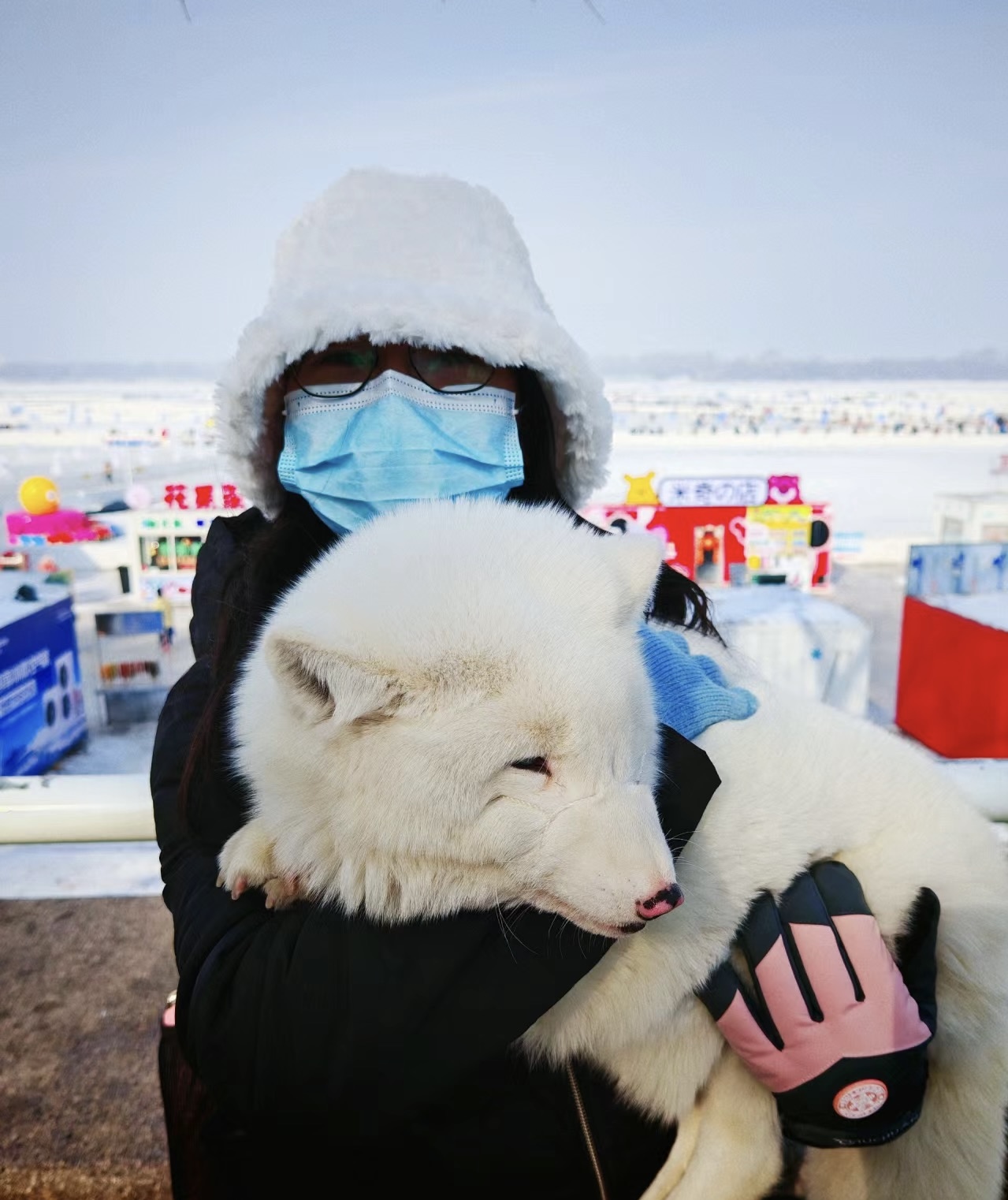 北极狐巡游出租冬季雪乡的亮点引流网红打卡