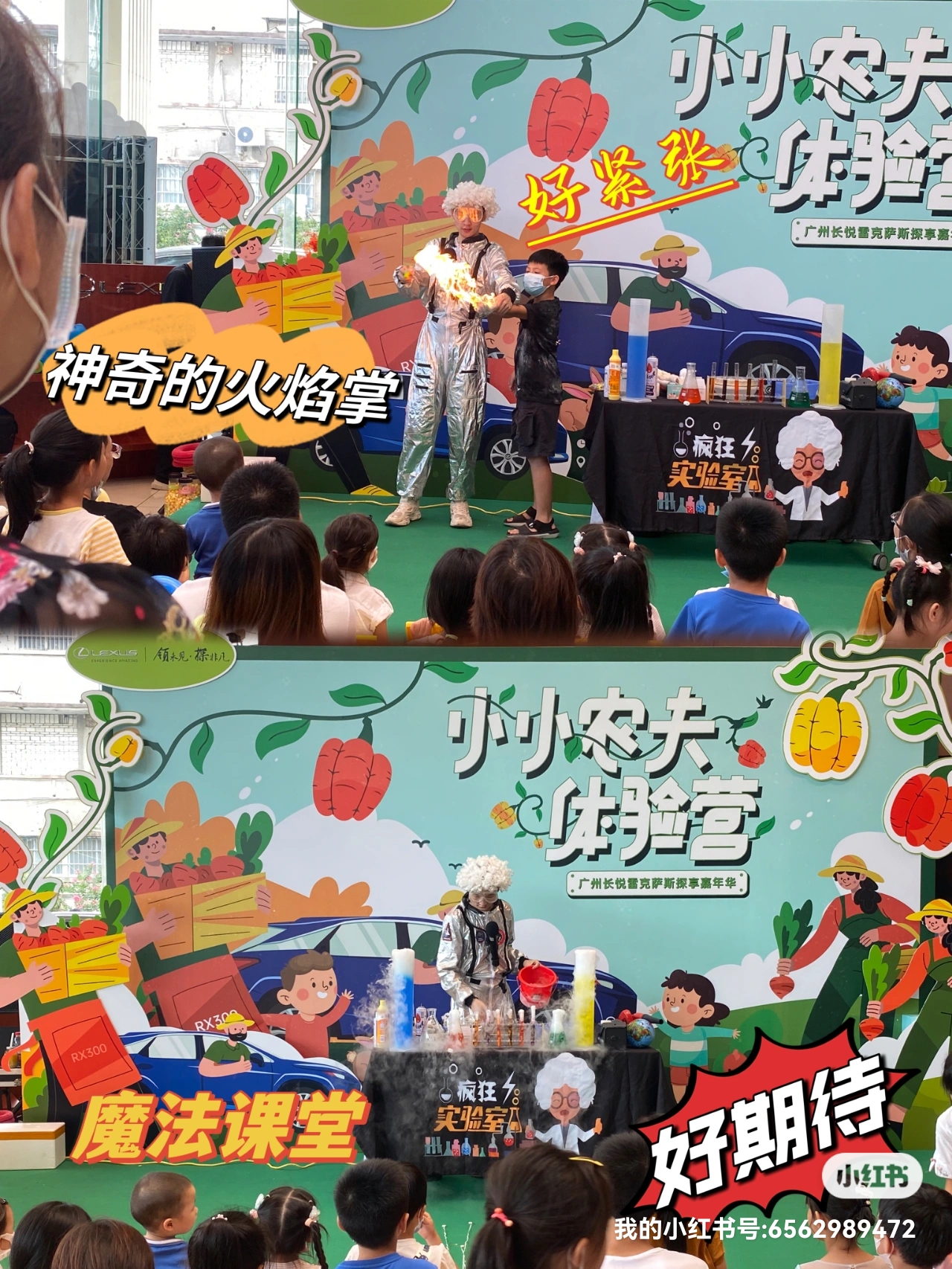 疯狂科学实验