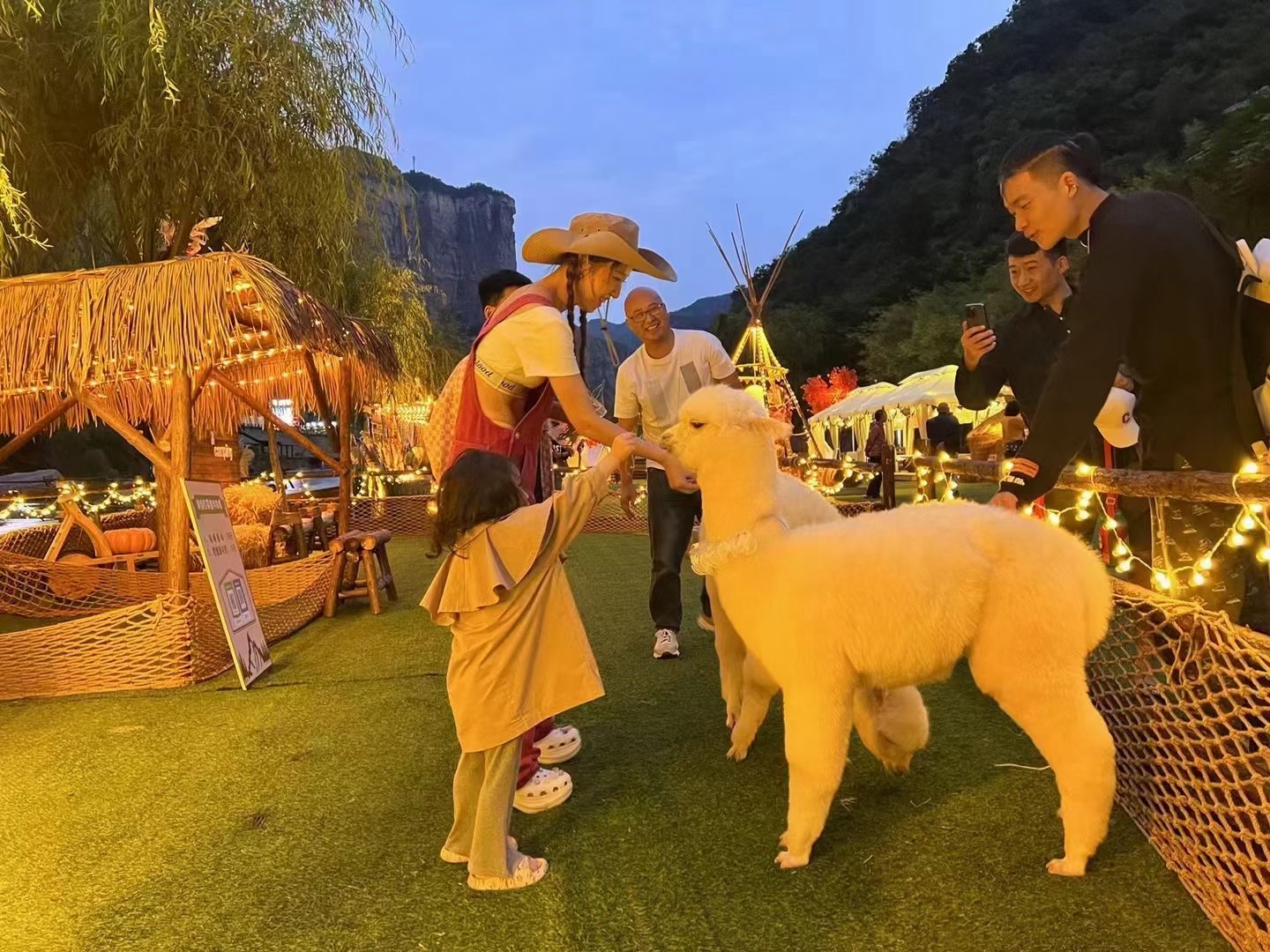 萌宠动物出租展览哪里有地产商场暖场引流好