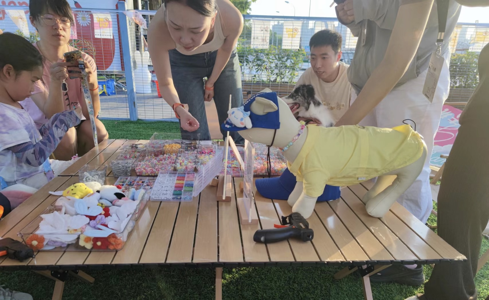汽车宠物联名集市