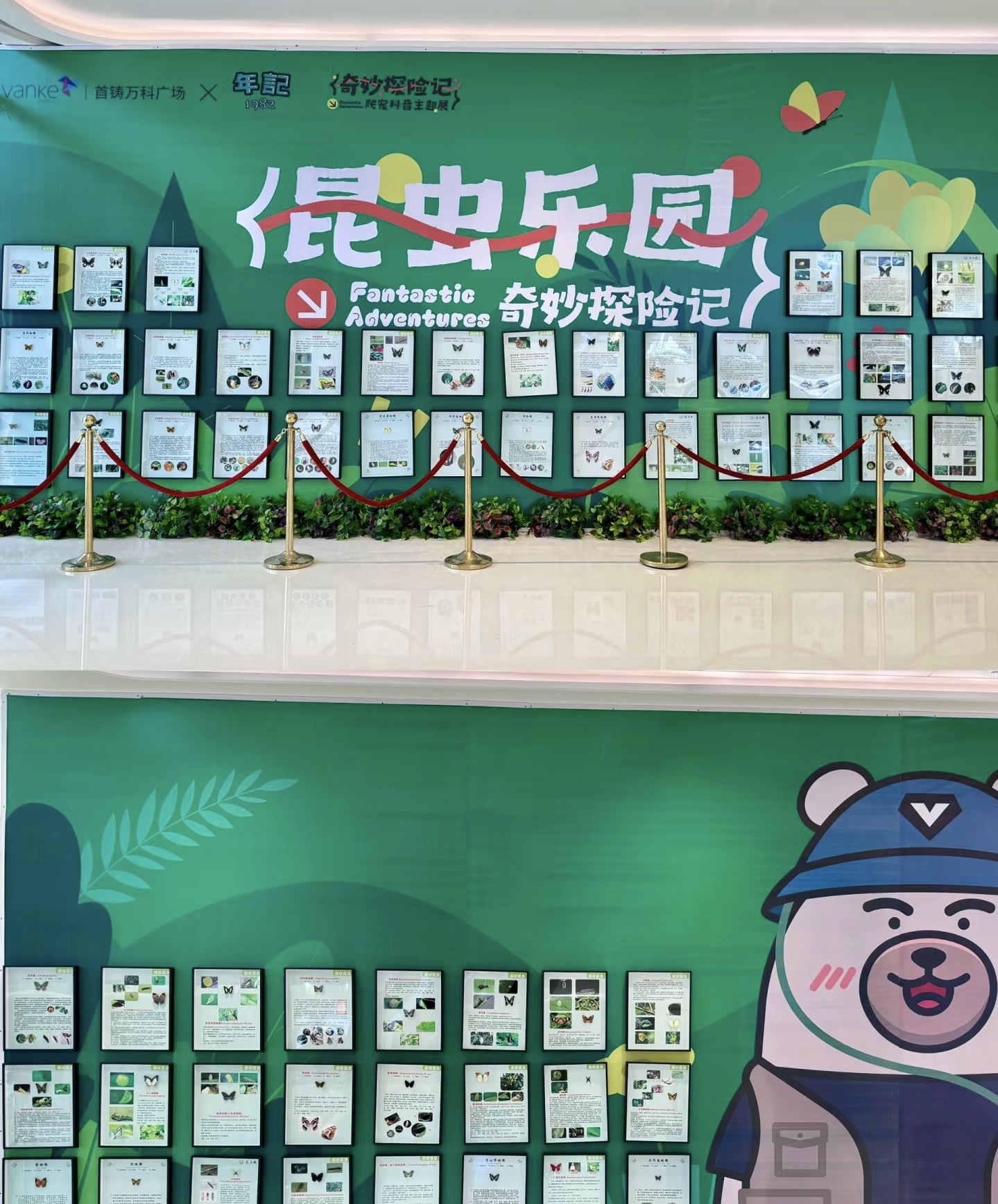 爬虫昆虫造景标本出租展览活体科普动物知识