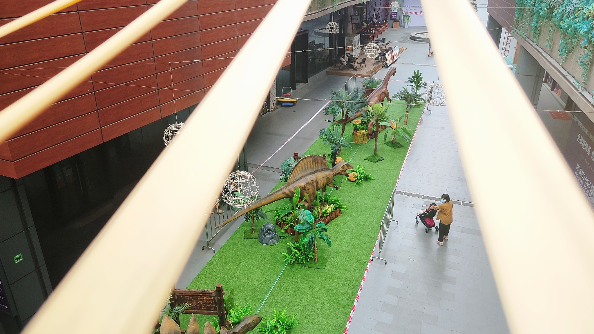 大型小型恐龙展，恐龙骨架化石等