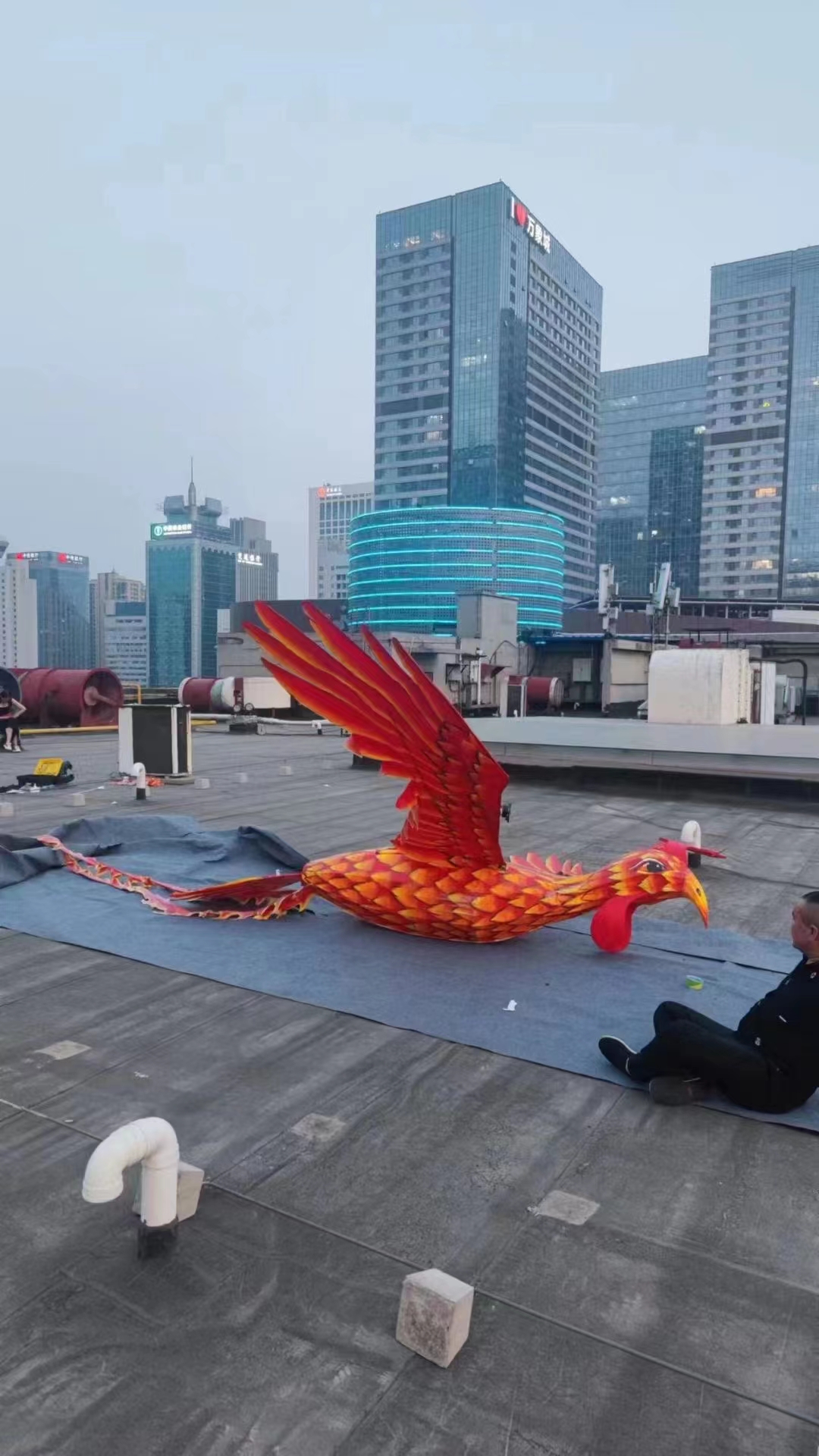 飞天凤凰  浴火重生