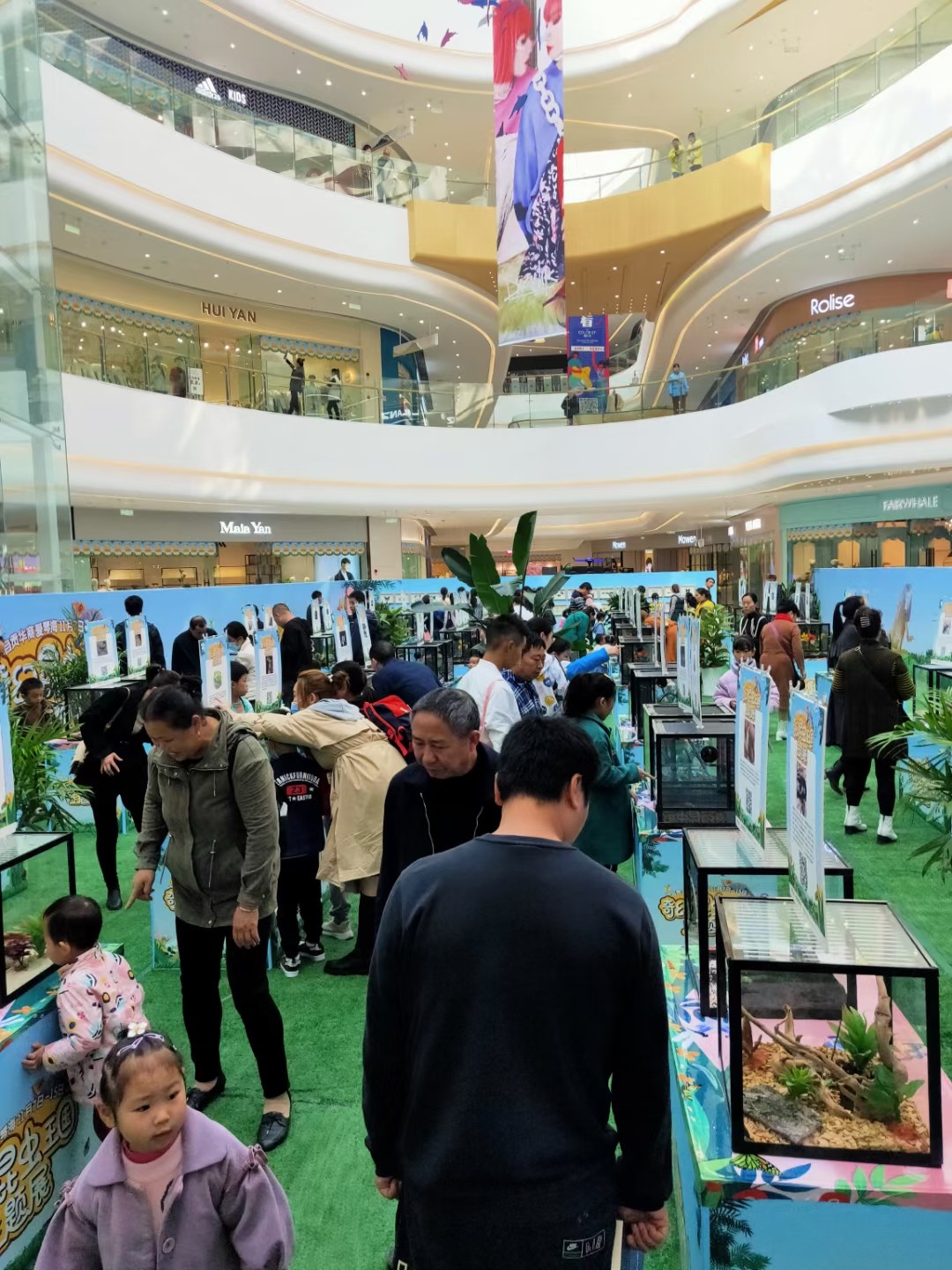 动物萌宠展览租赁