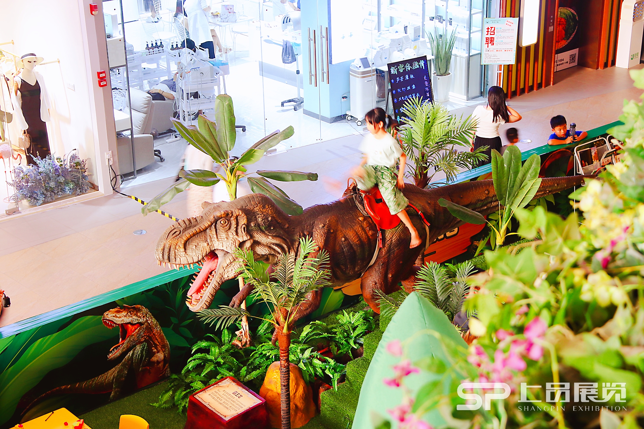 大型小型恐龙展，恐龙骨架化石等