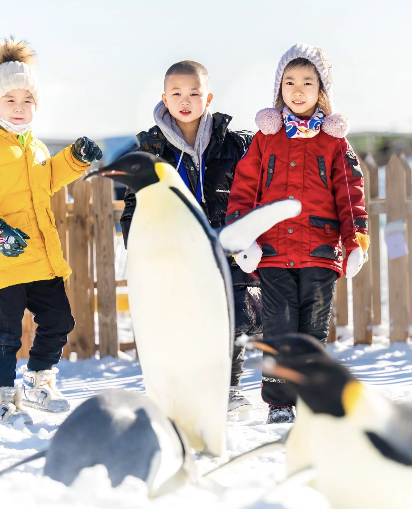 企鹅出租冬季雪乡流元旦春节节假日引流神器