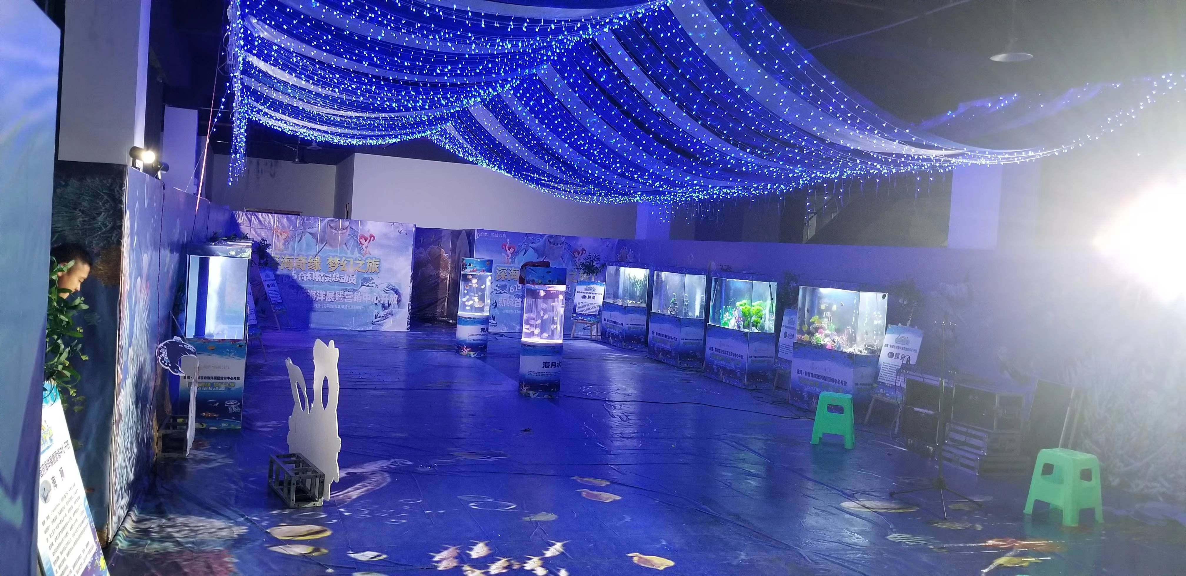 海洋展租赁海洋生物展租赁
