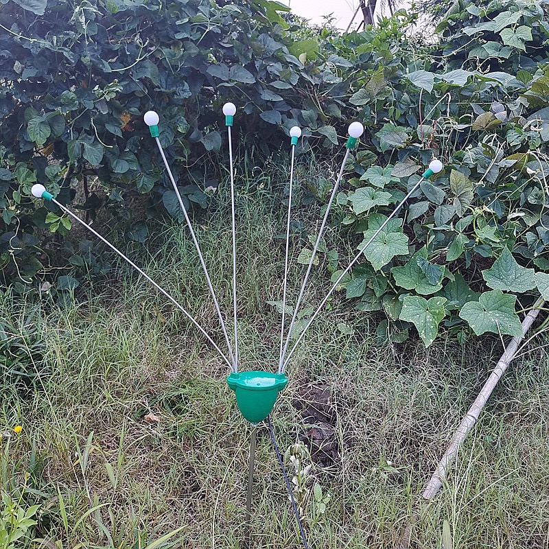 萤火虫灯