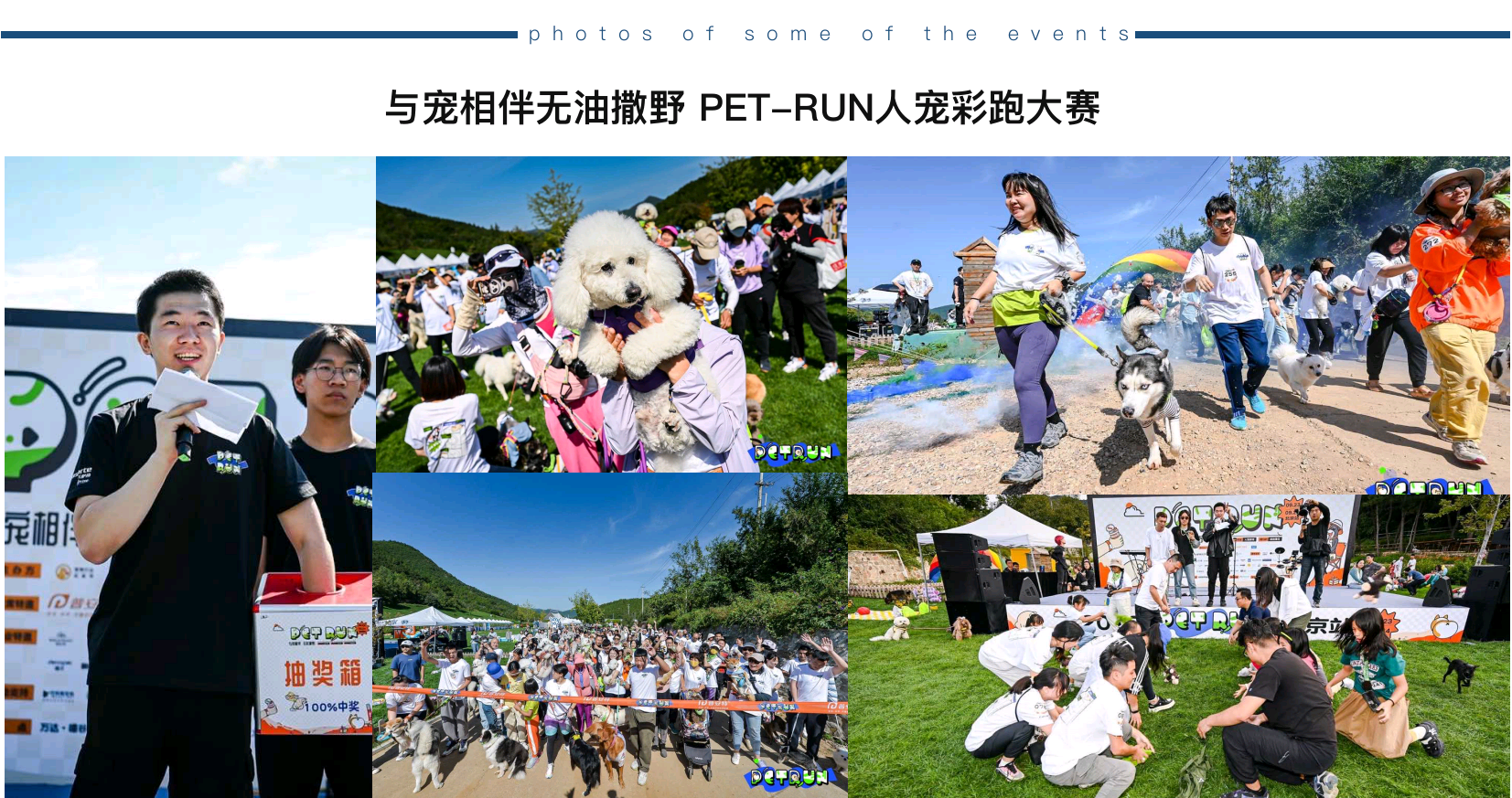 中英文双语主持人紫轩（常驻地北京）