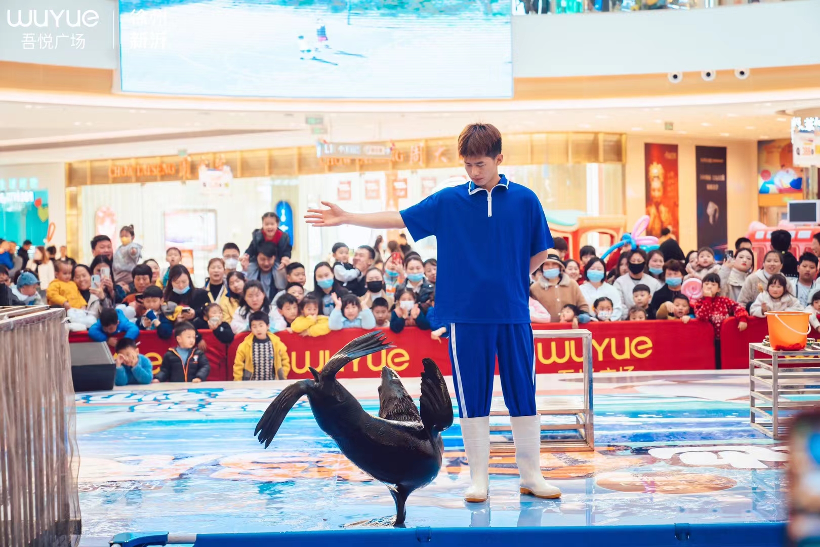 活体南美海狮表演出租暑期暖场引流互动展览