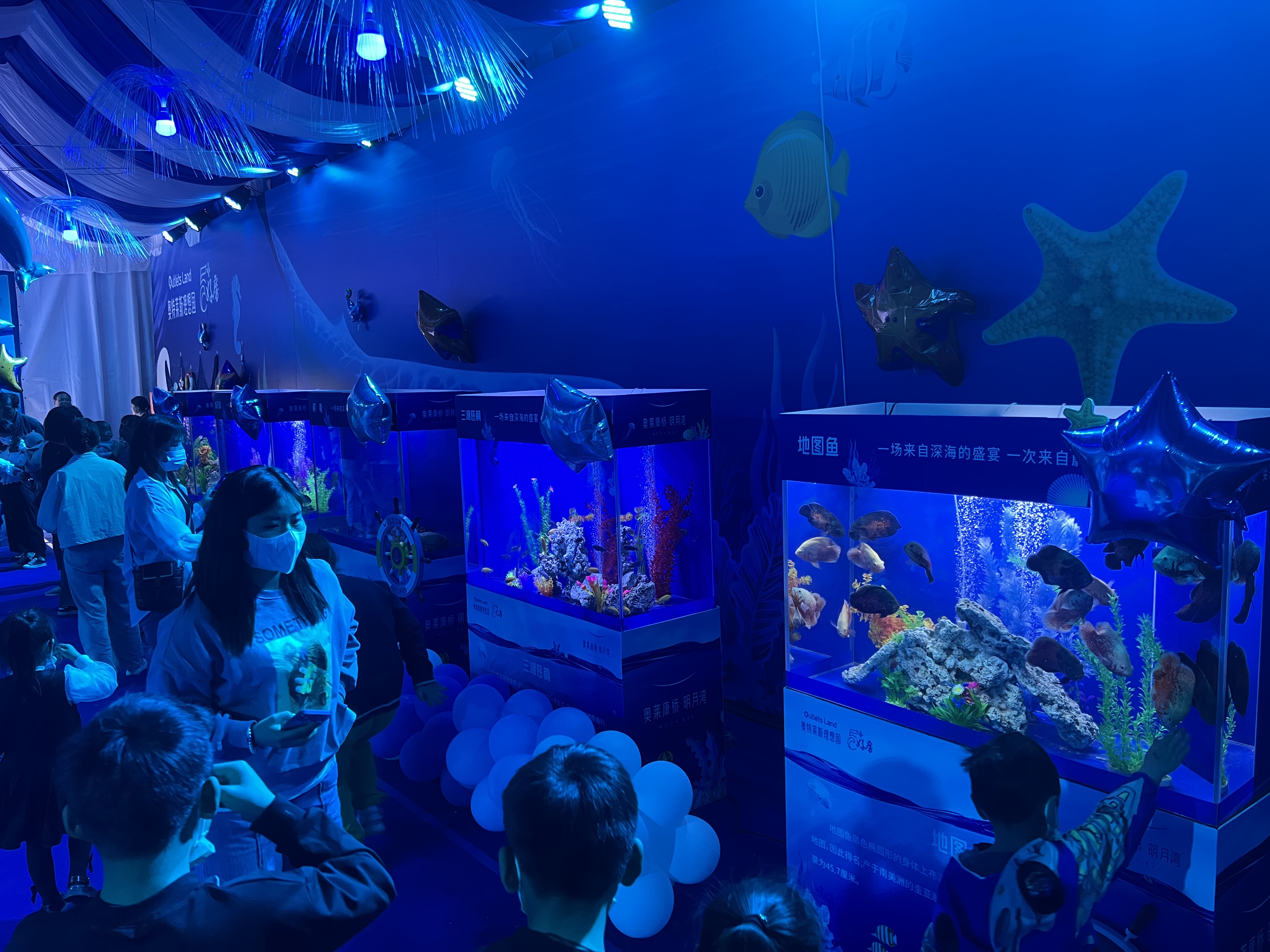珍稀海洋生物展 海洋展 鲨鱼展