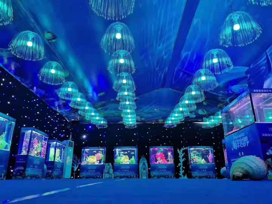 海洋展租赁海洋生物展租赁