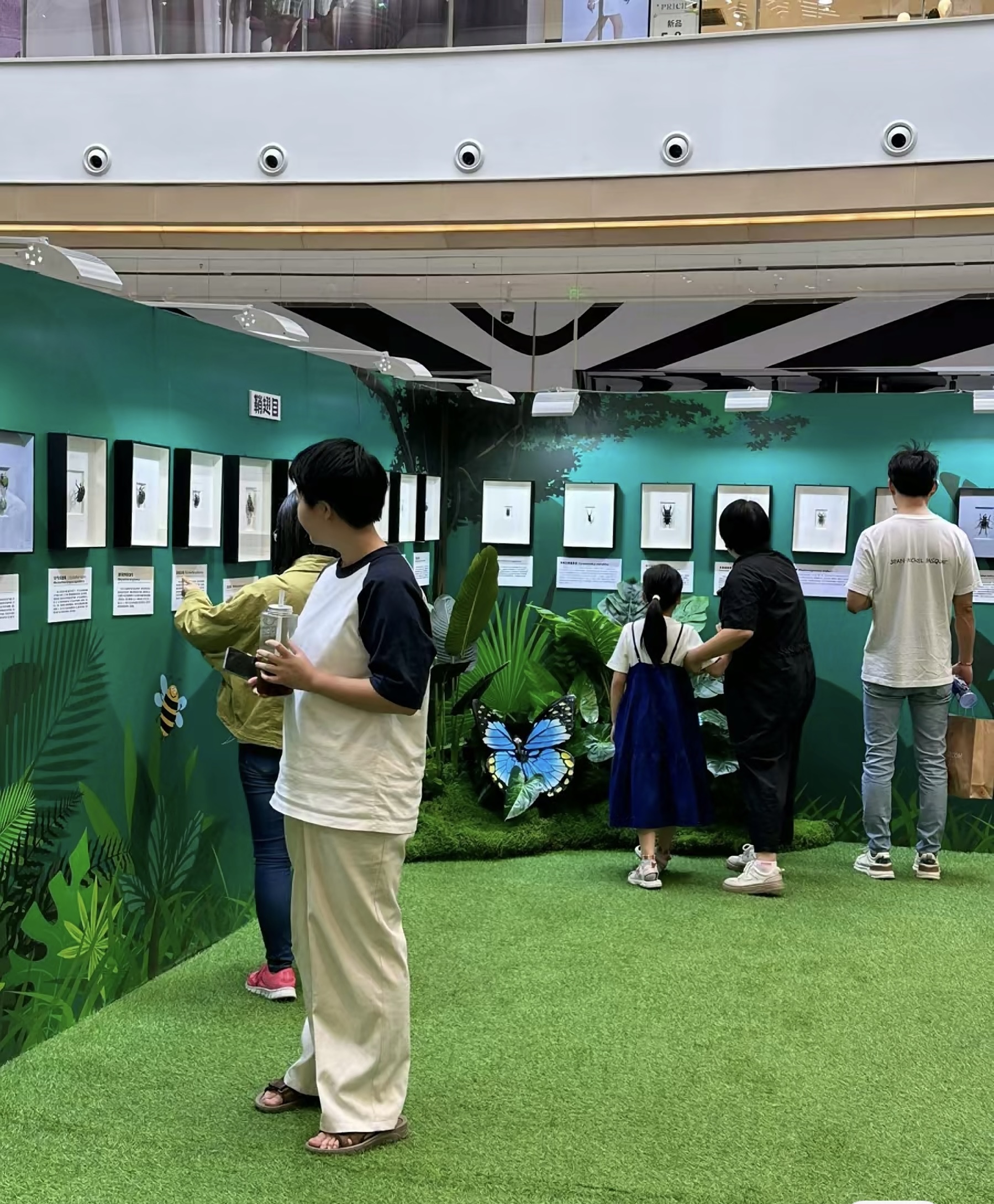 蝴蝶标本展览爬虫活体展览出租春季<font style="color: #FF8F00 !important;">夏季</font>好项