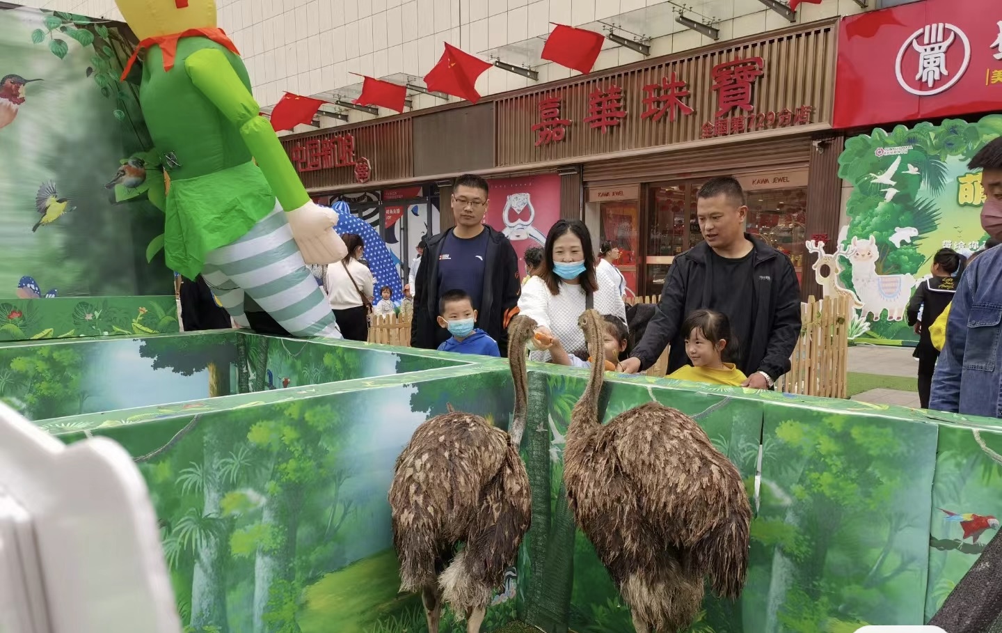 春季萌宠出租网红打卡和动物亲密接触景区