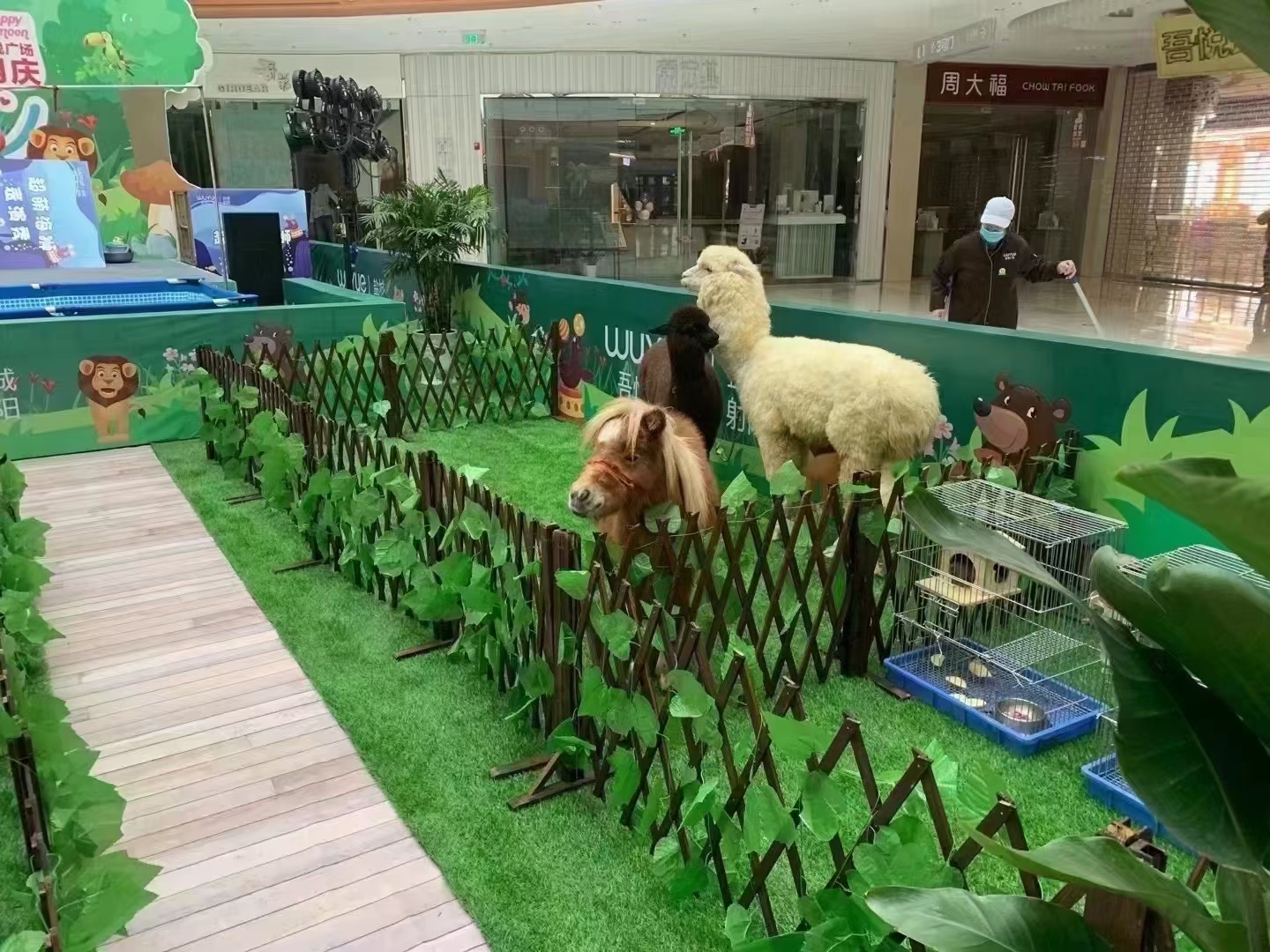 萌宠动物展览租赁 羊驼矮马孔雀火鸡梅花鹿