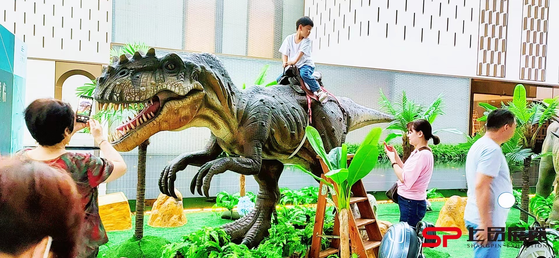 大型小型恐龙展，恐龙骨架化石等