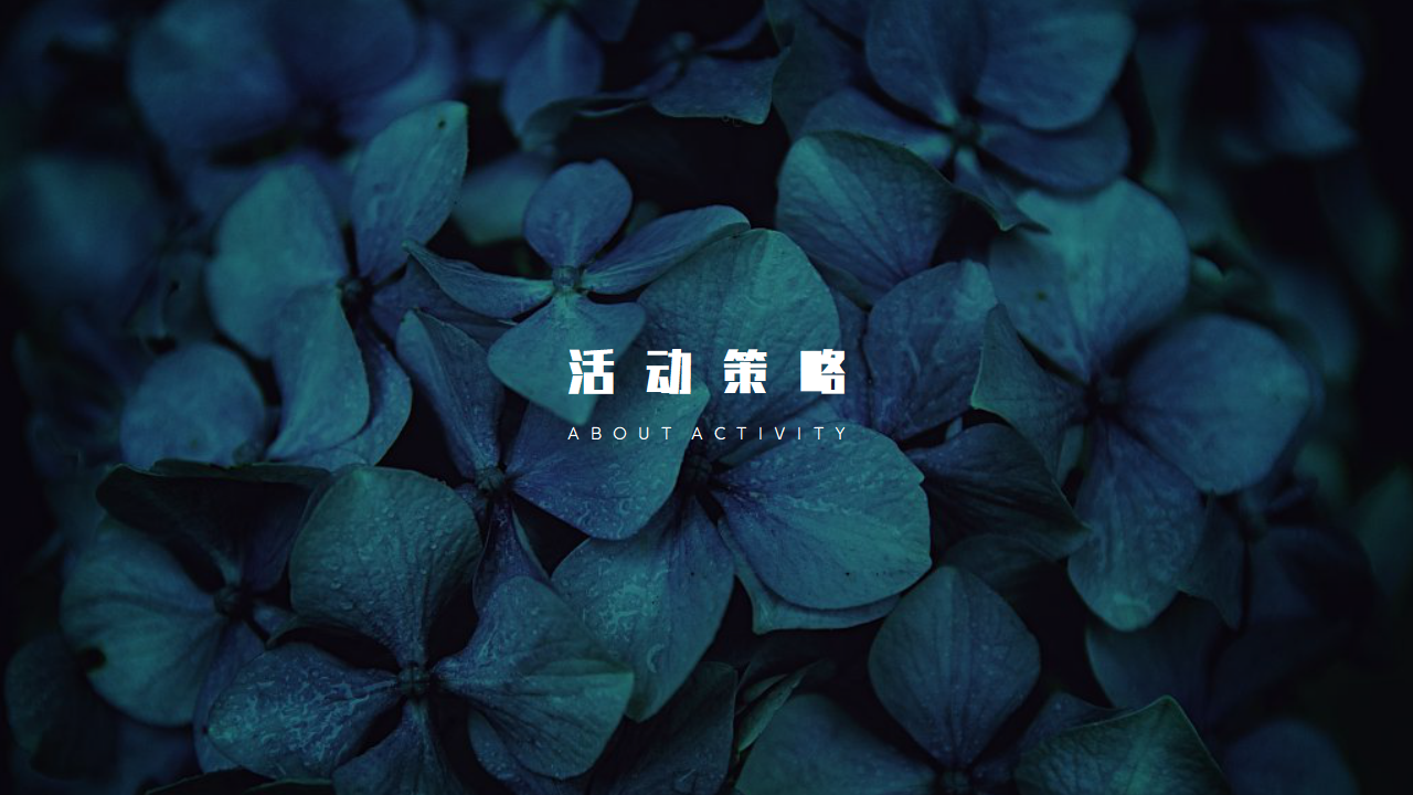 周年庆典现场直播照片