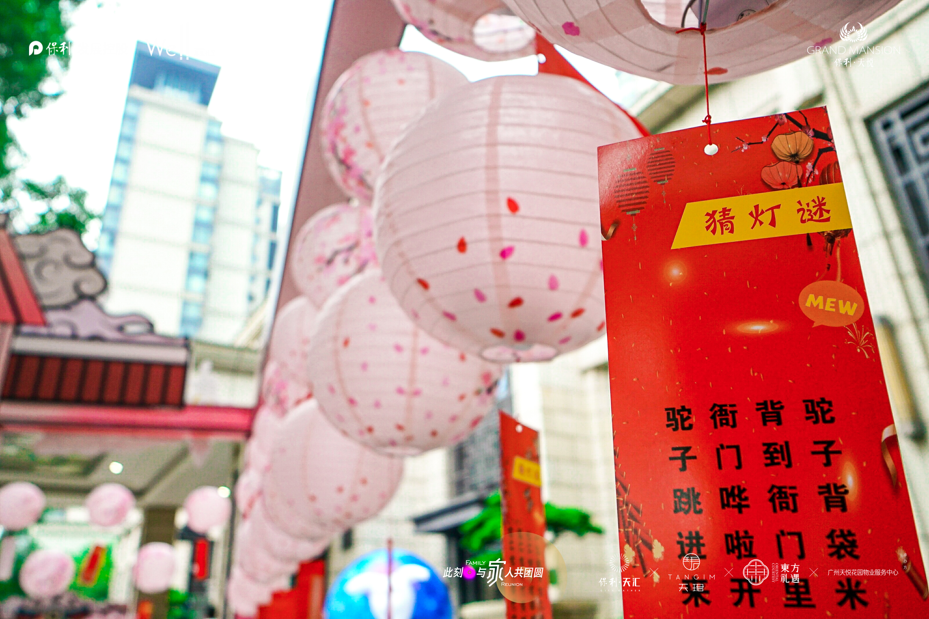 圈层活动,游园会现场直播照片