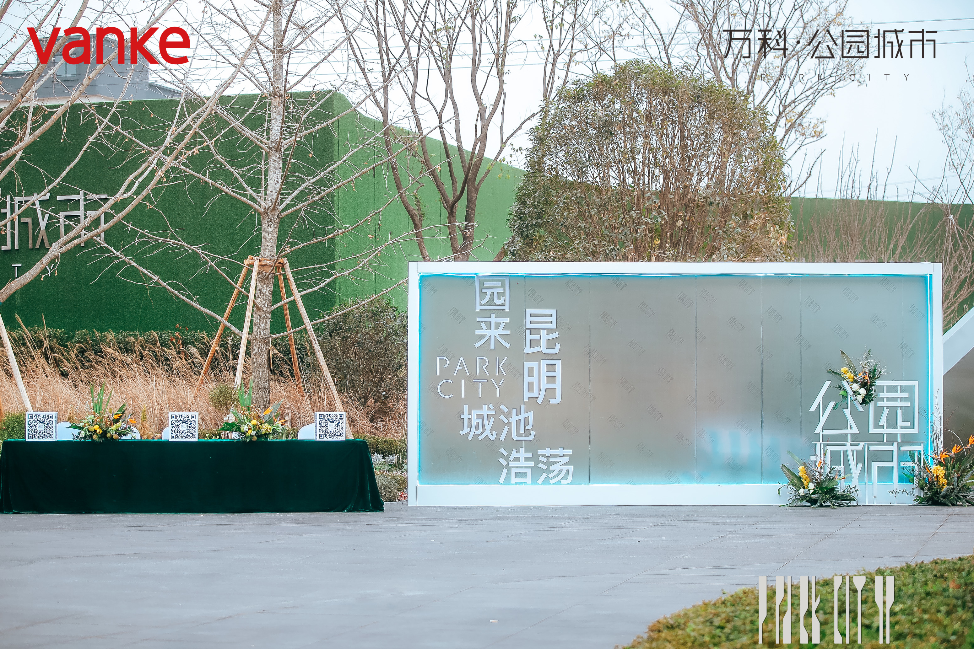 示范区开放现场直播照片