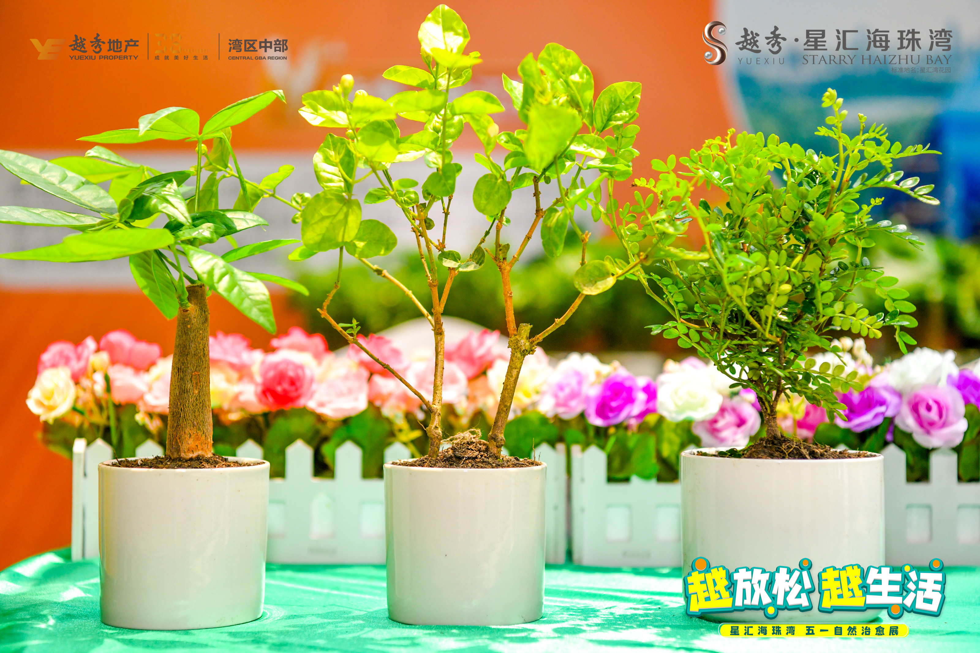 圈层活动,IP展现场直播照片