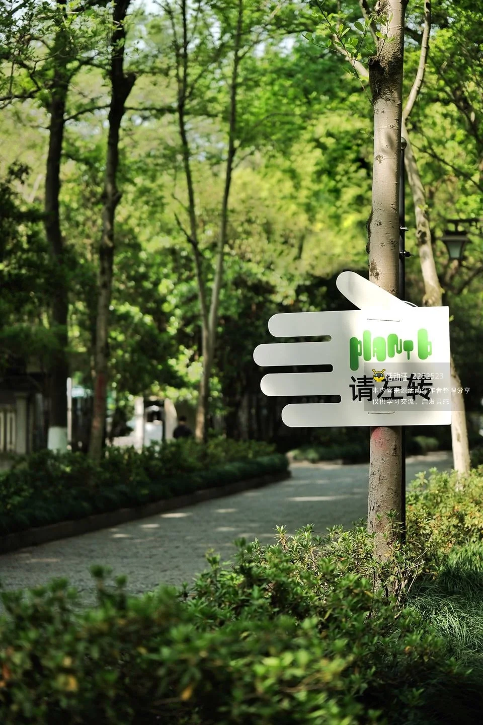 杭州植物园第五届“plant b城市森林计划”2025春日场市集
