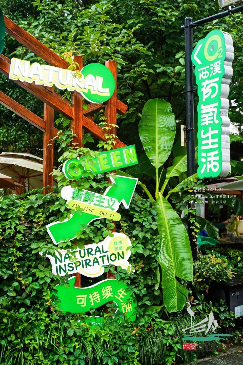 杭州西溪国际龙舟文化节