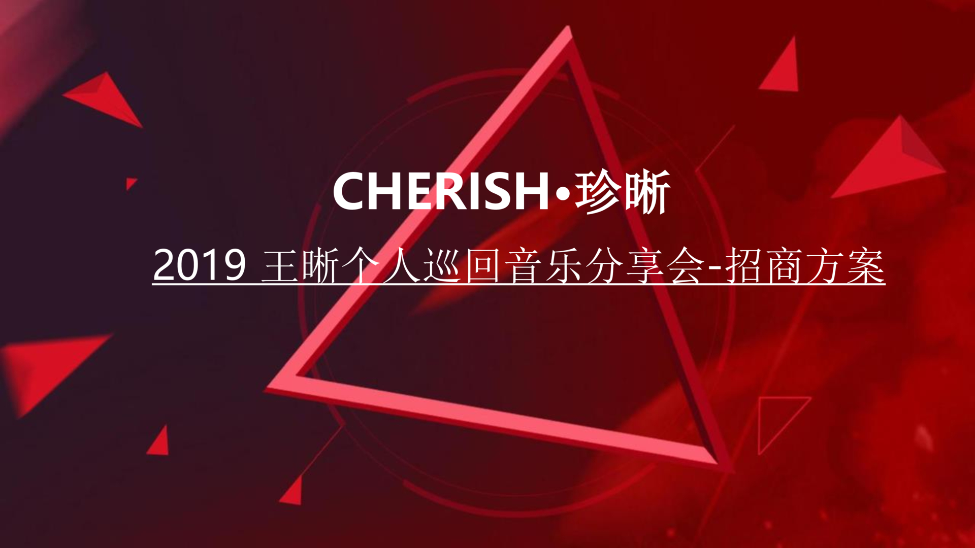 活动策划方案-活动汪