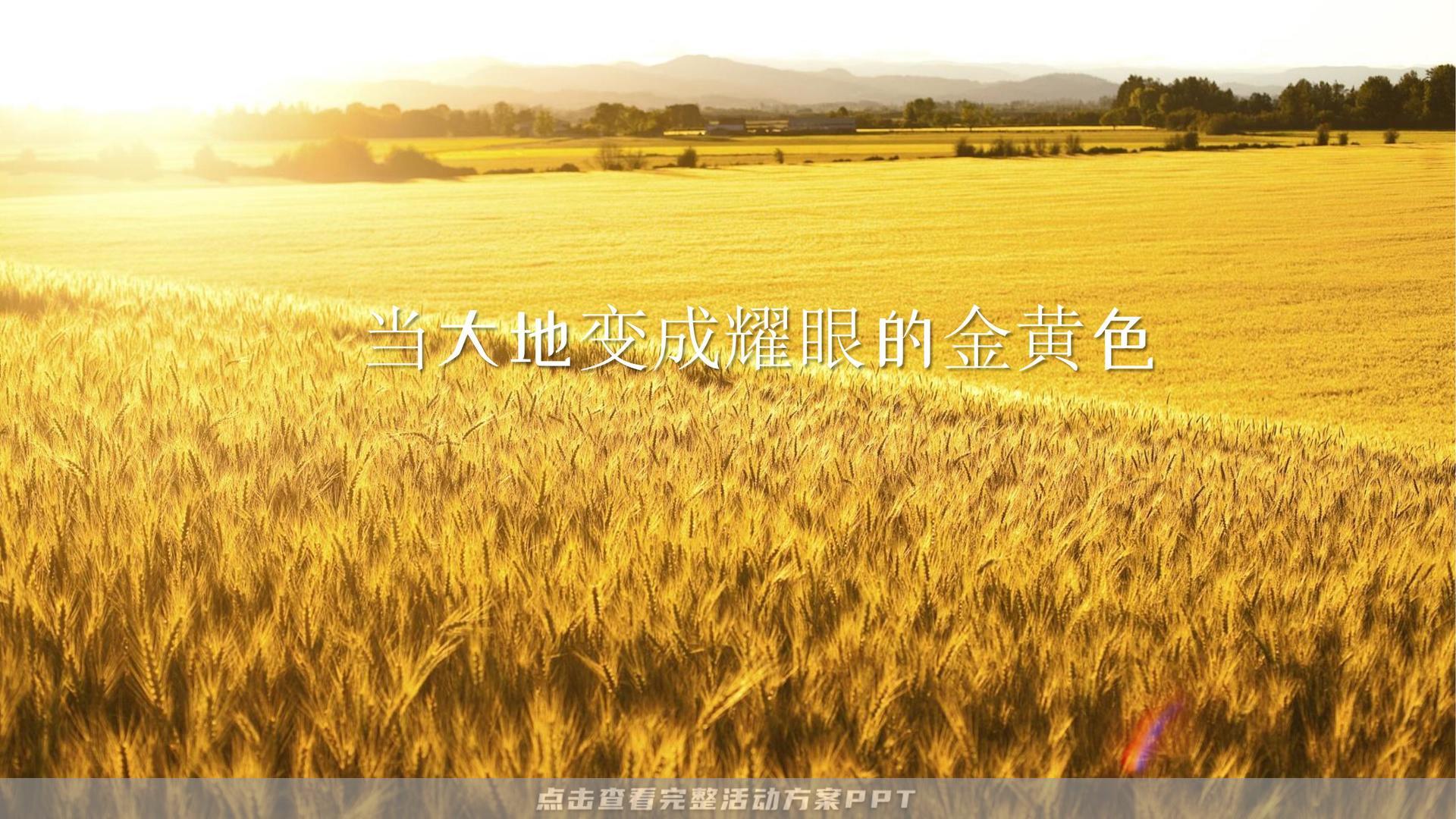 艺术节活动策划方案