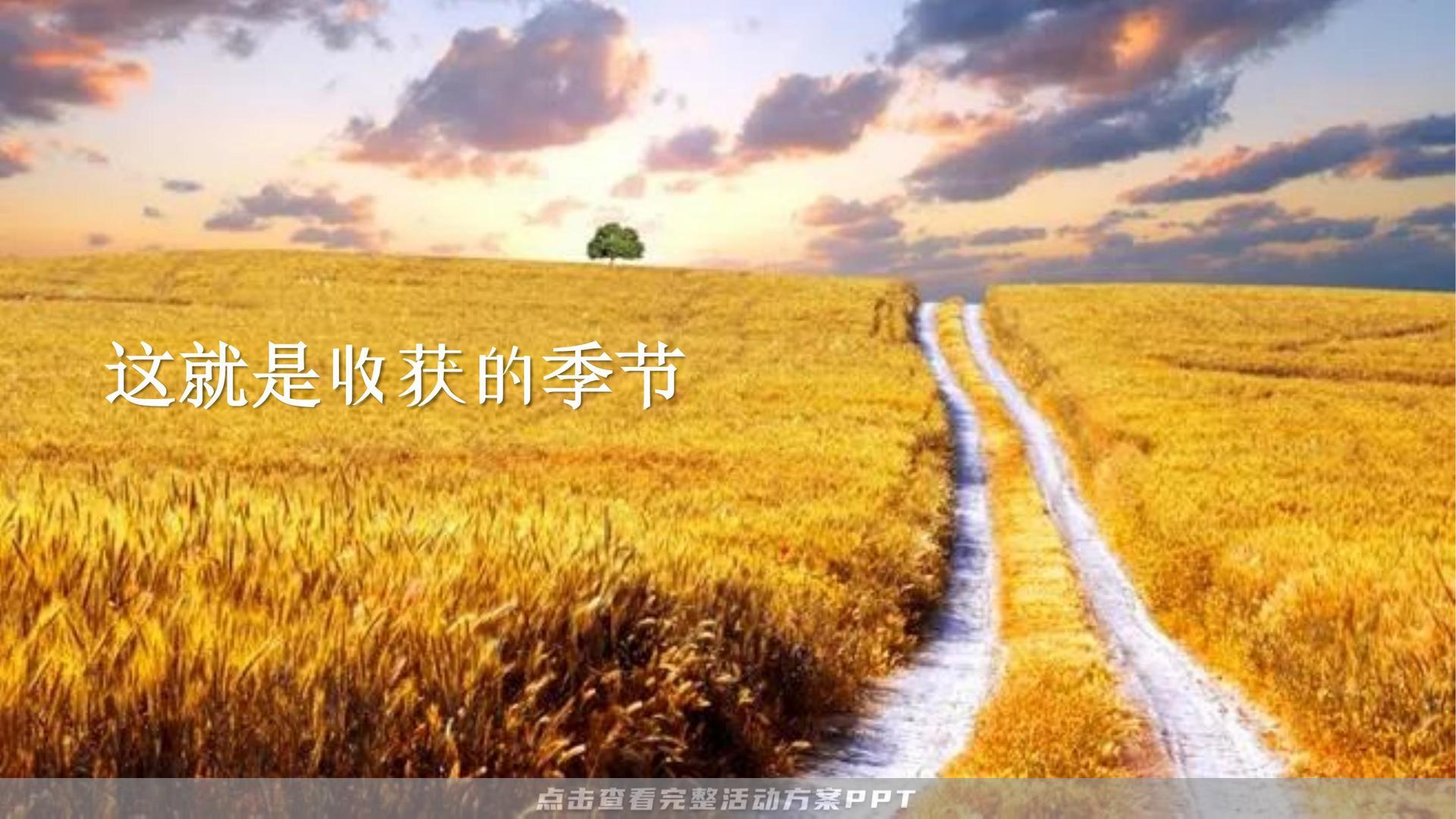 艺术节活动策划方案