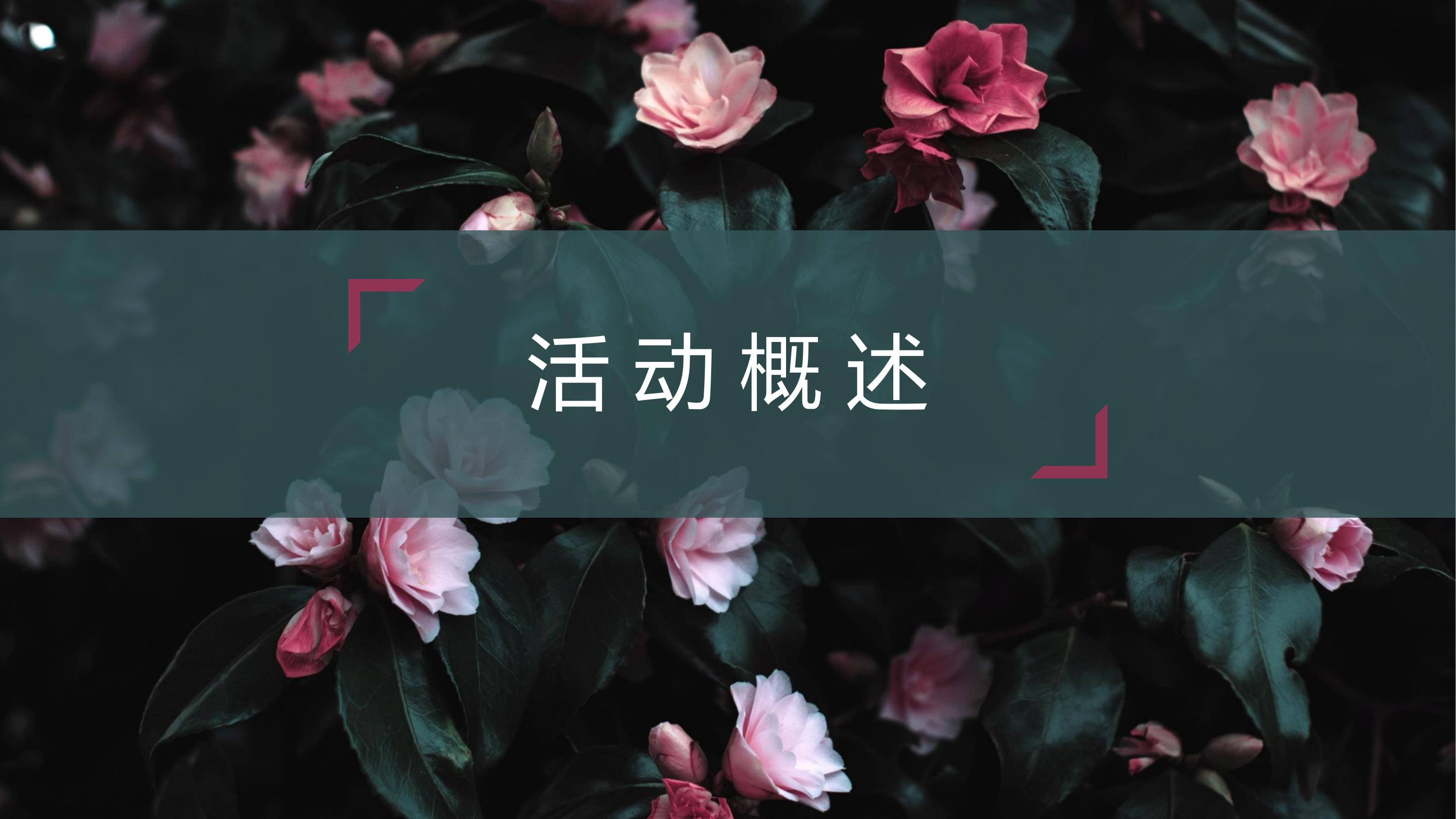 商业地产暖场活动策划方案PPT