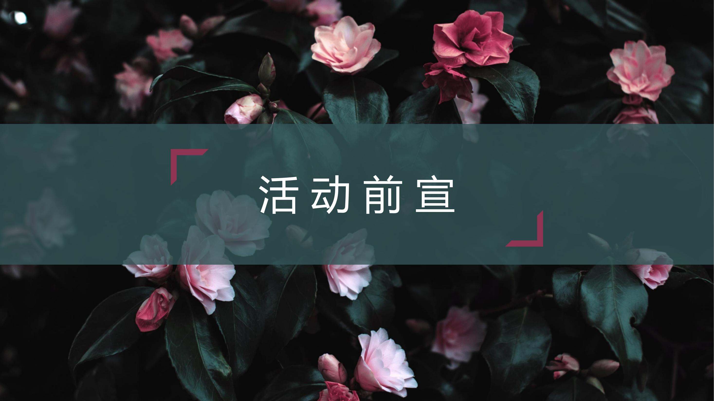 商业地产暖场活动策划方案PPT