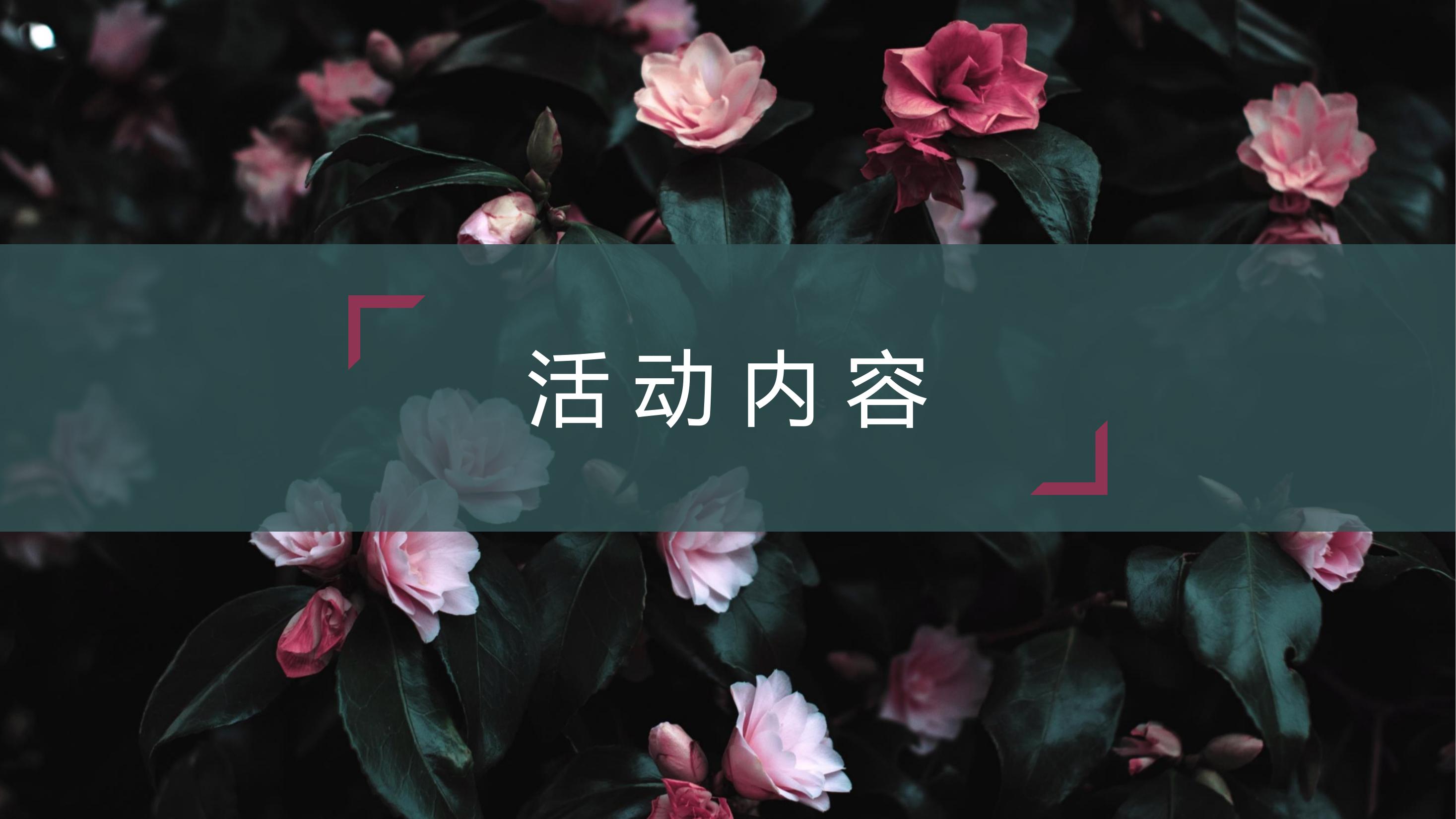 商业地产暖场活动策划方案PPT