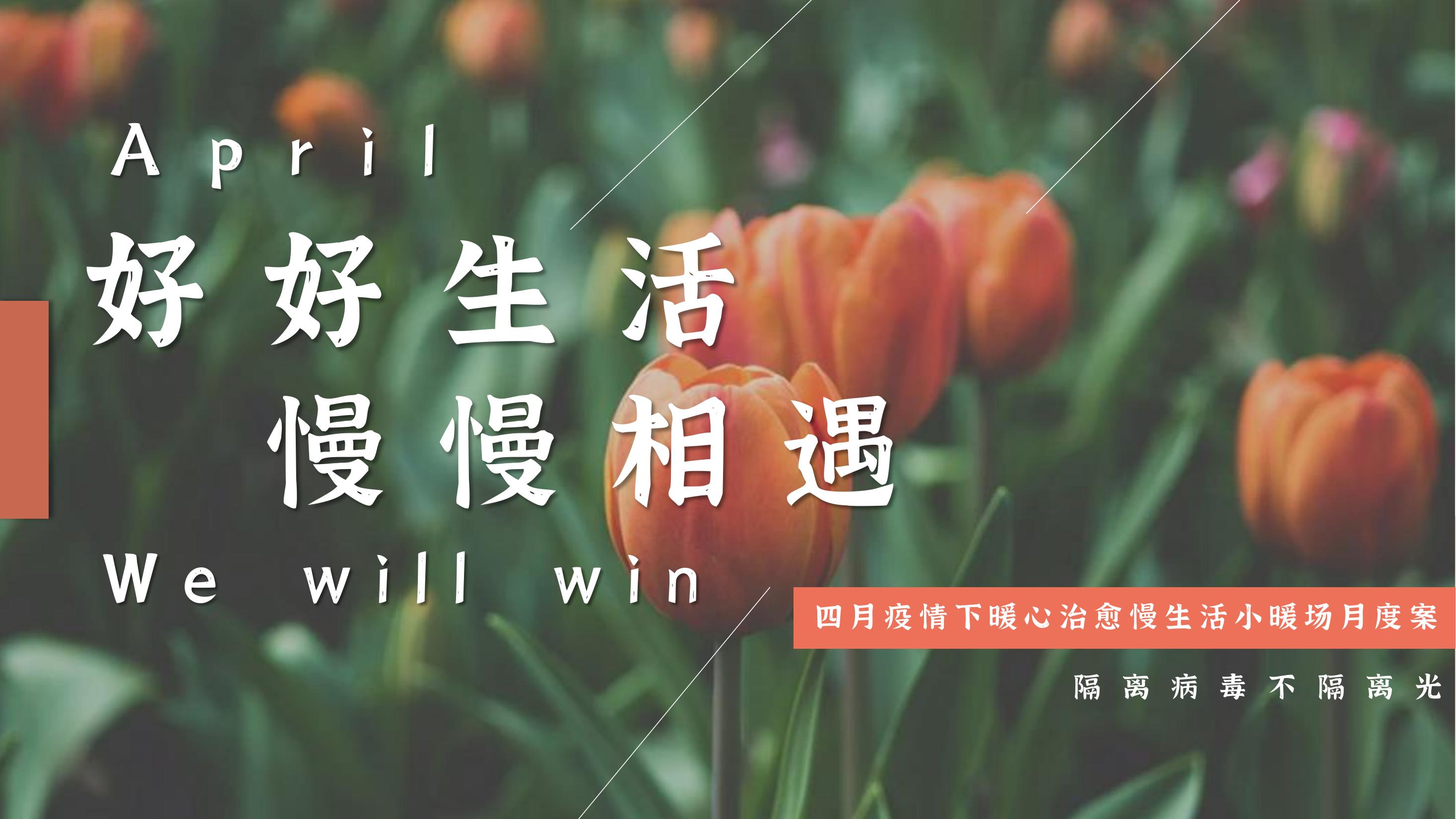 活动作品专题推荐-活动汪